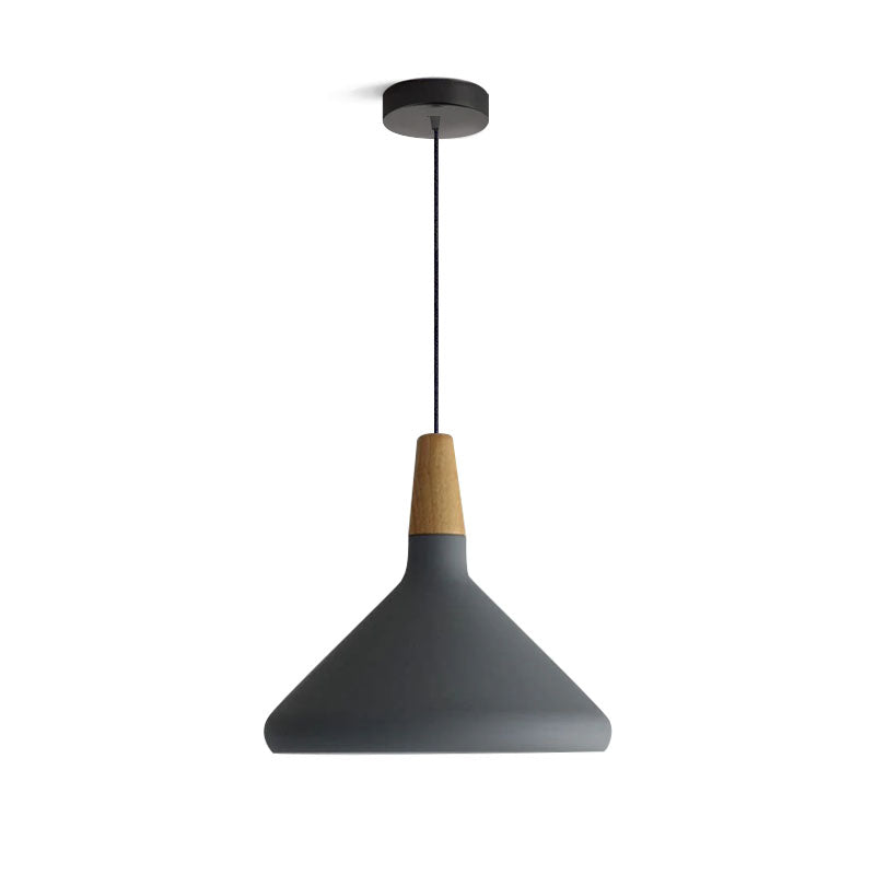 Paxden Cone Pendant Light