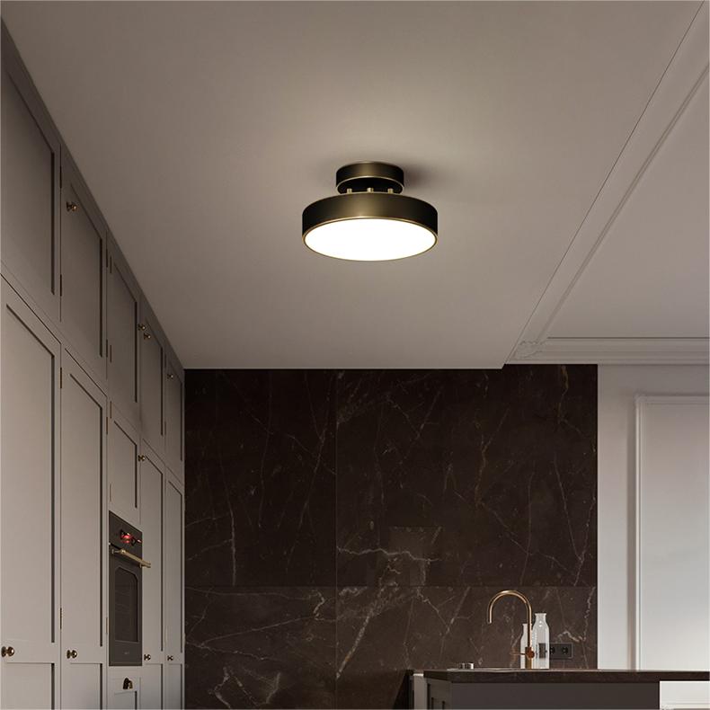 Niznaro Ceiling Light