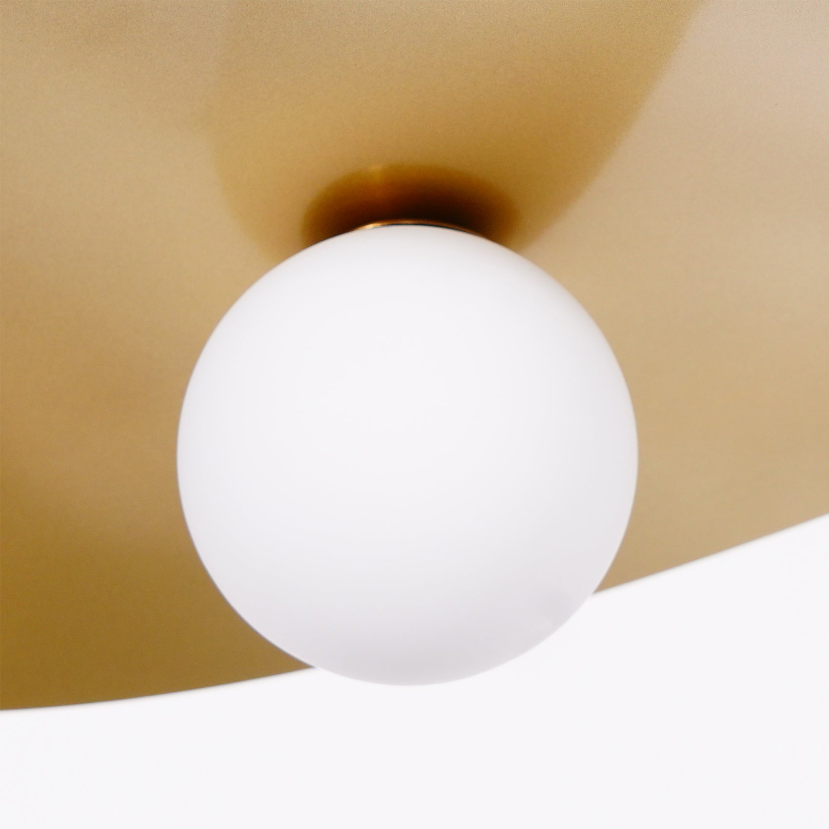 Linus Leaf Pendant Light