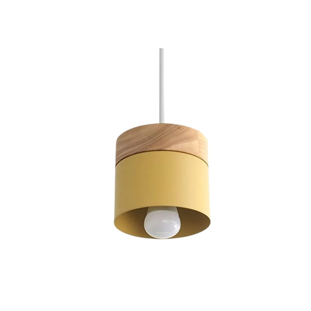 Suspendu Pendant Light
