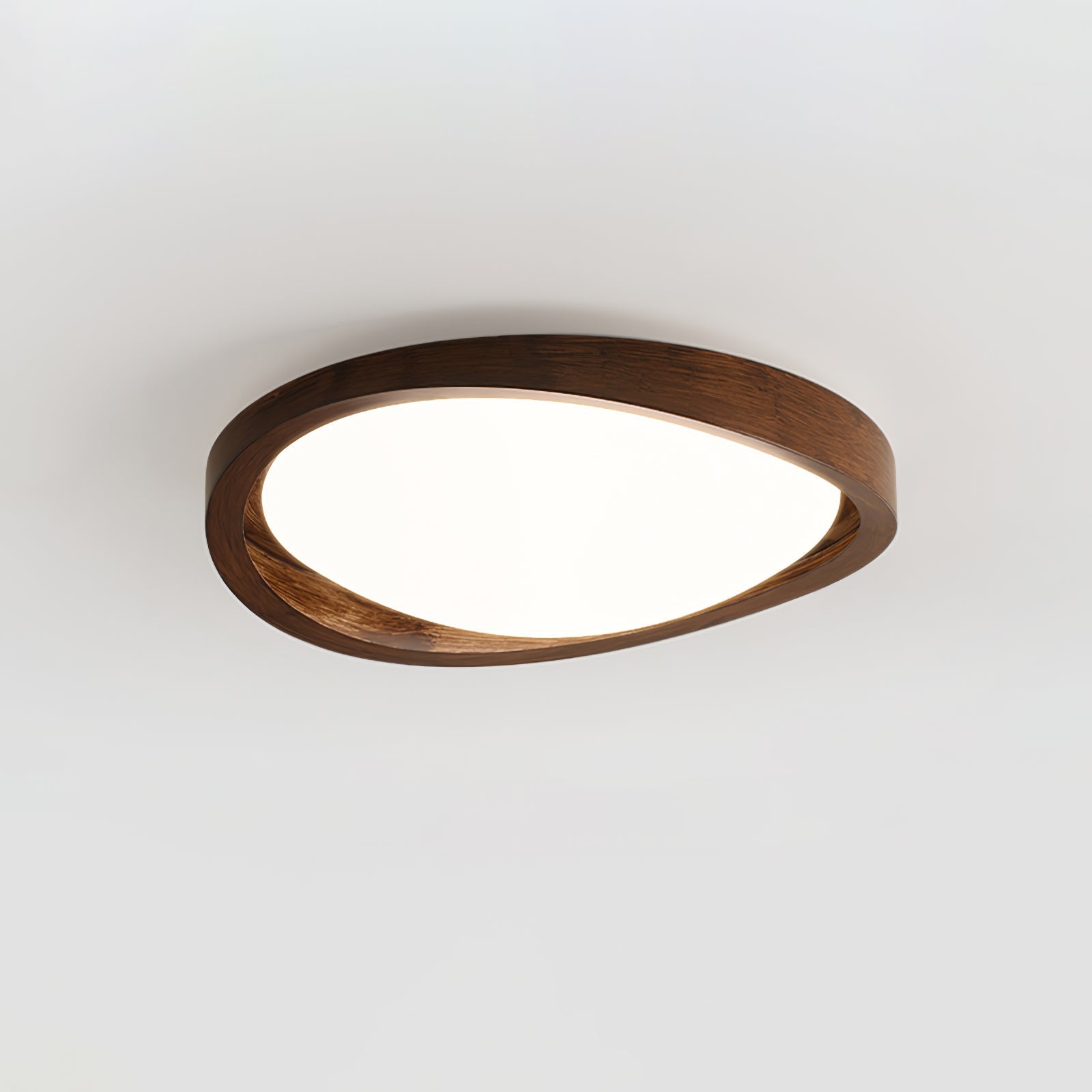 Ecuvon Ceiling Light