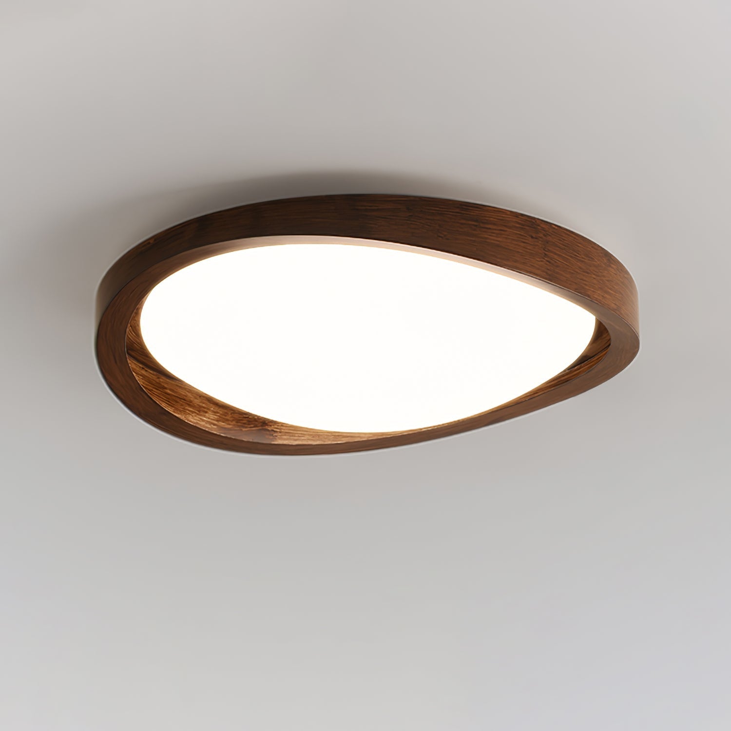Ecuvon Ceiling Light