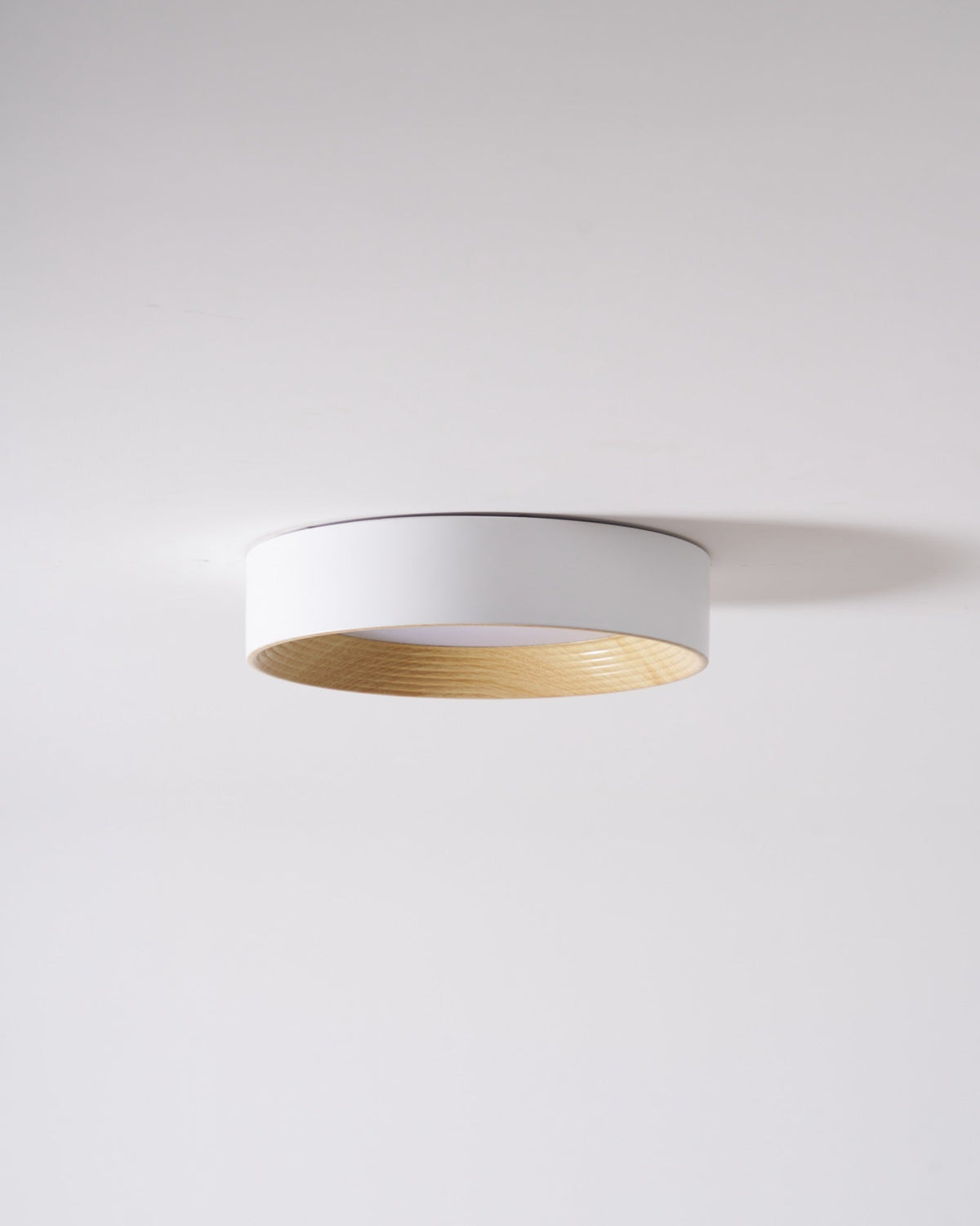 Paxburn Round Ceiling Light