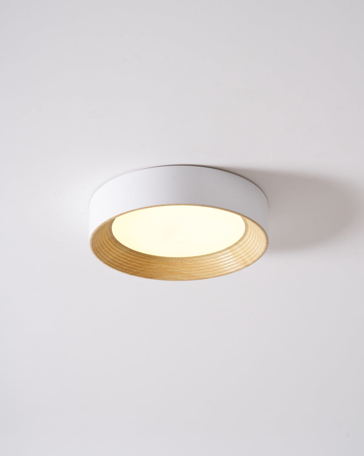 Paxburn Round Ceiling Light