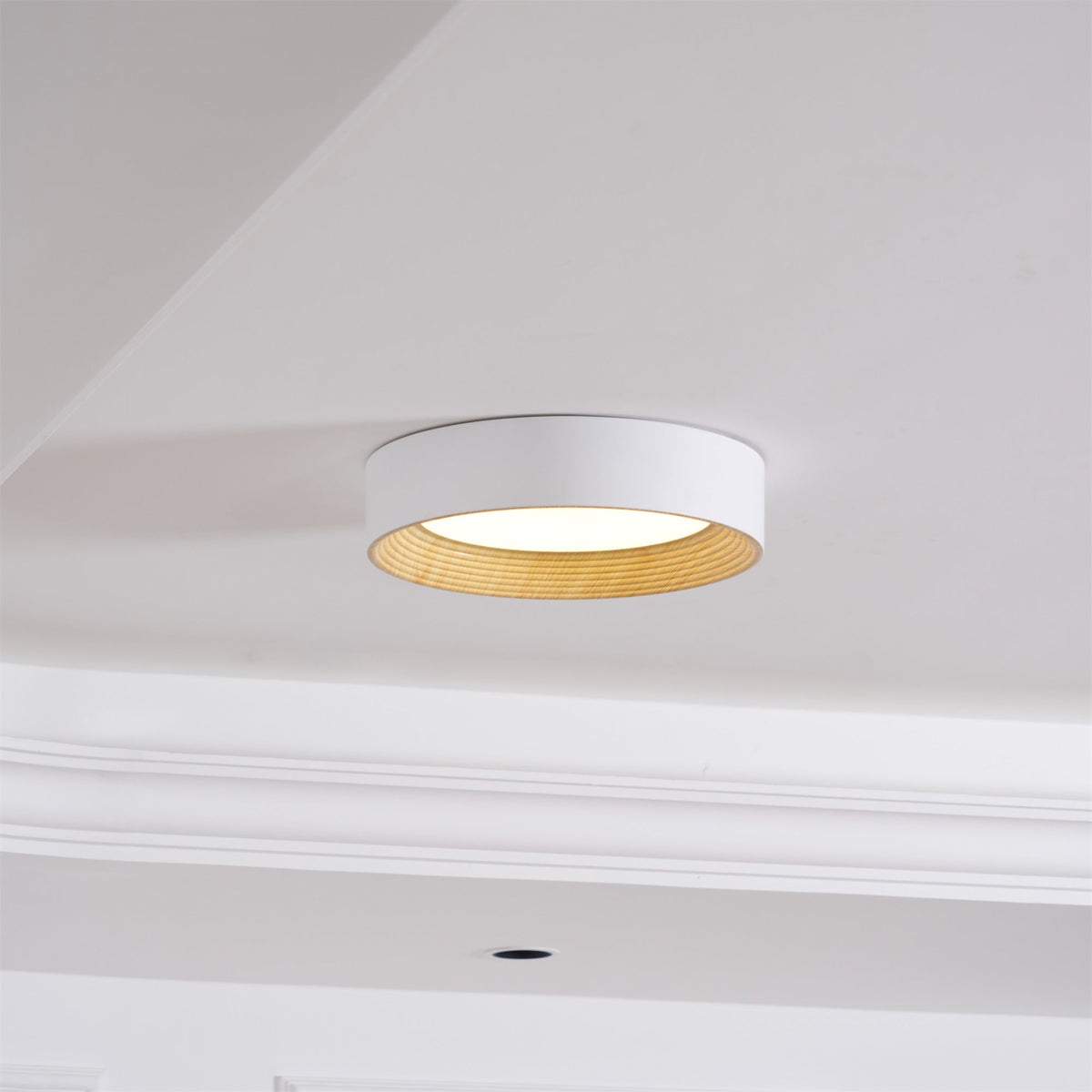 Paxburn Round Ceiling Light
