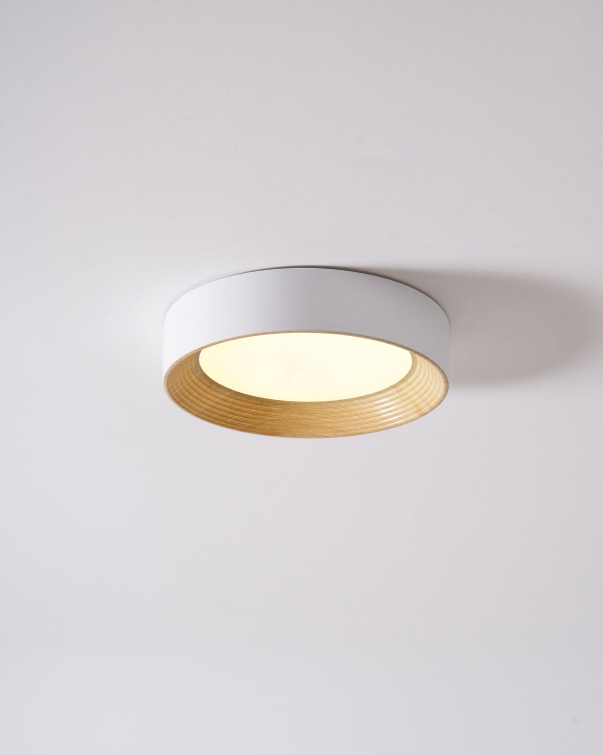 Paxburn Round Ceiling Light