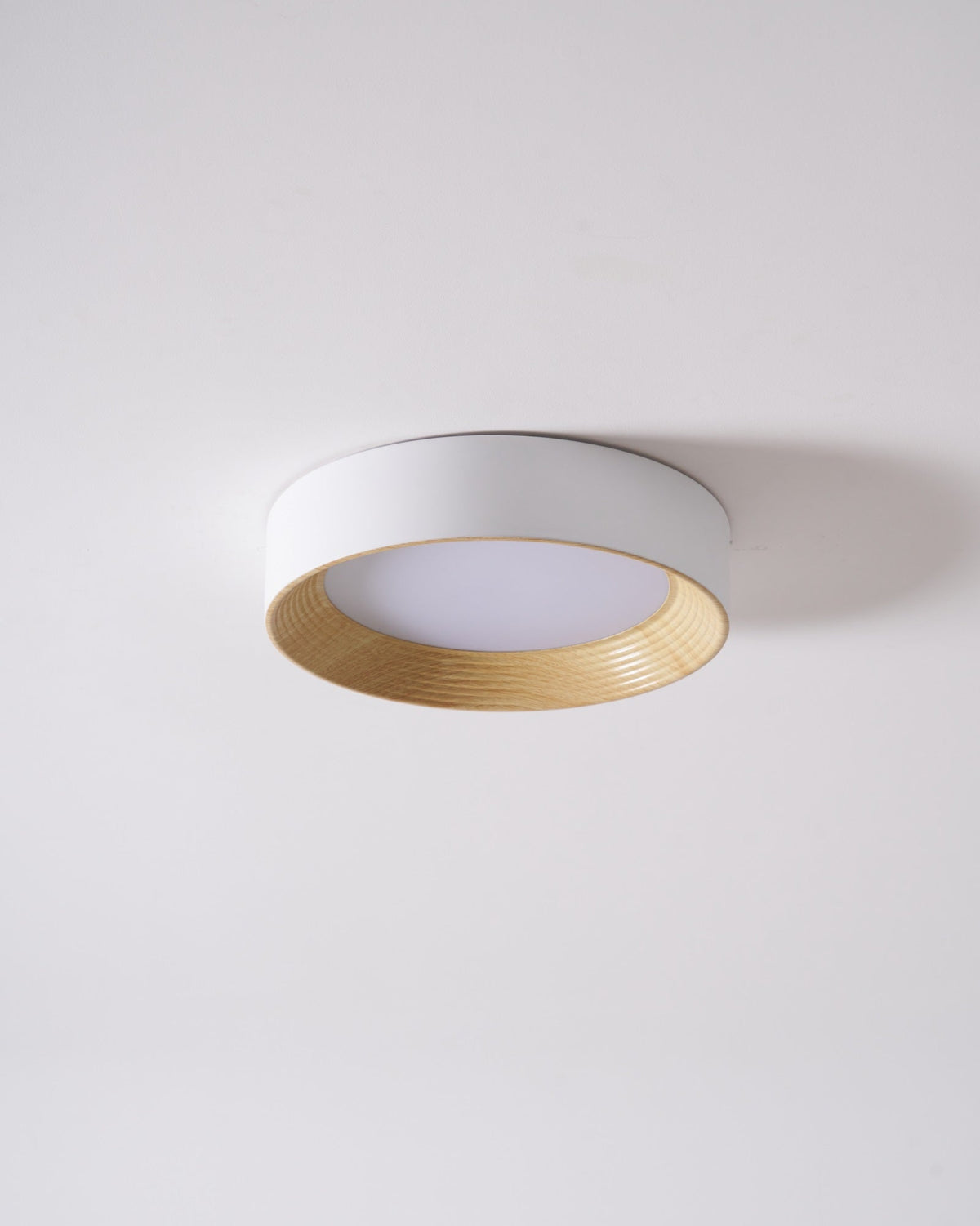 Paxburn Round Ceiling Light