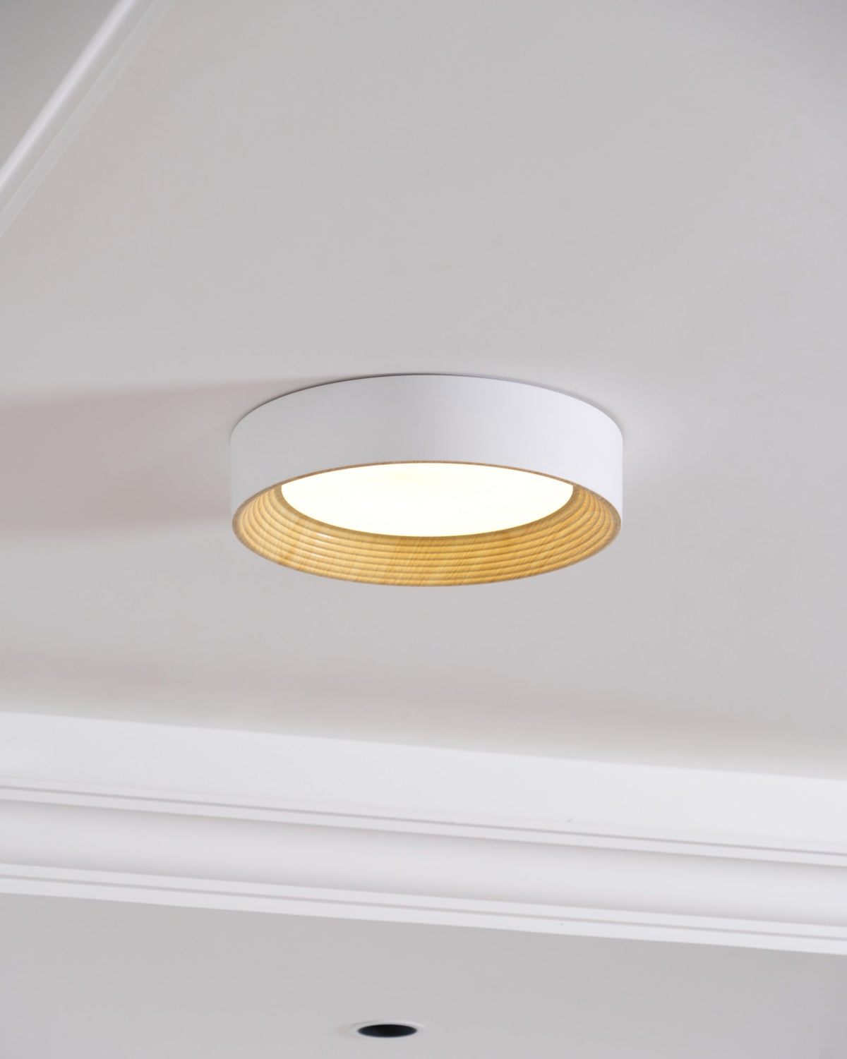 Paxburn Round Ceiling Light