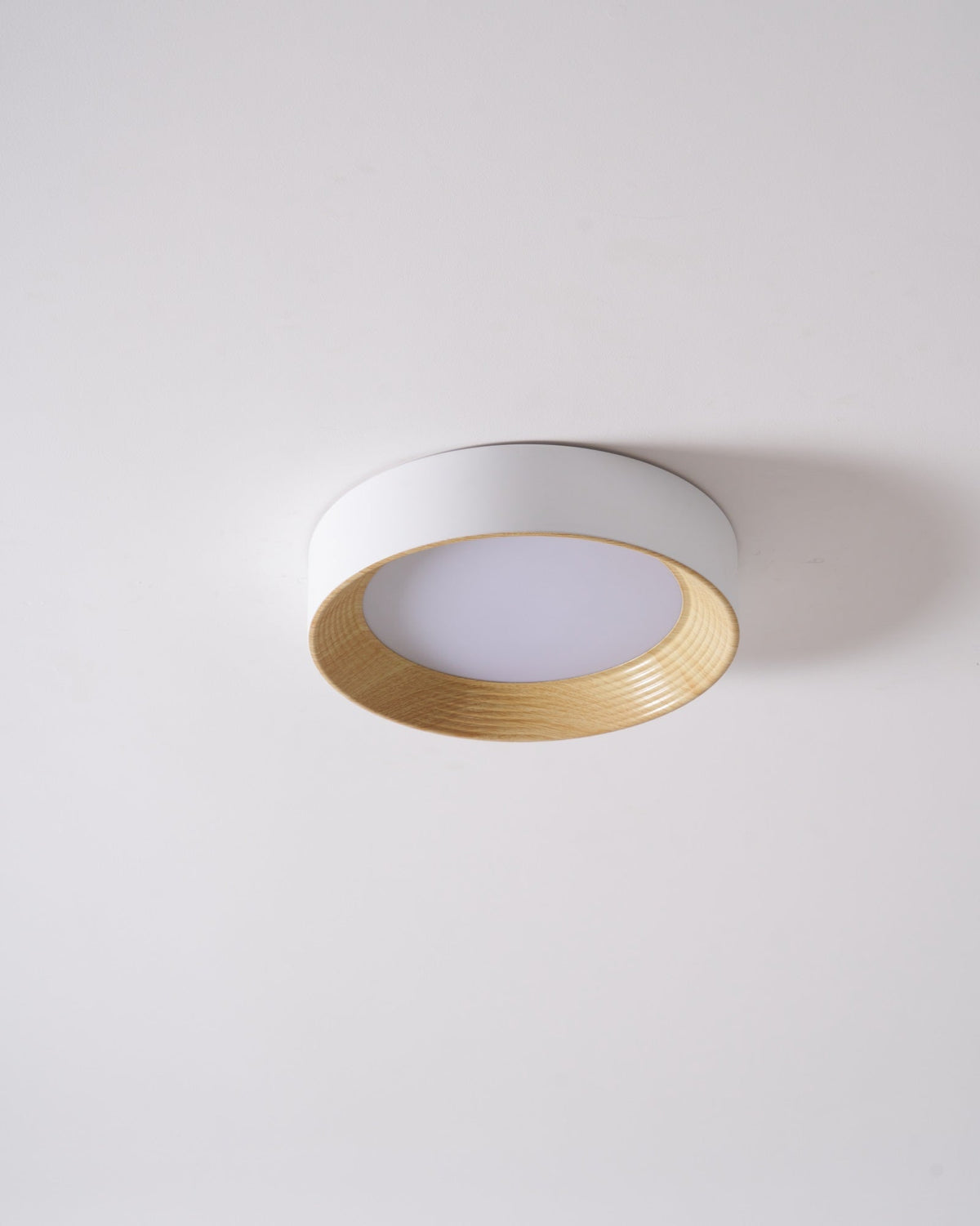Paxburn Round Ceiling Light