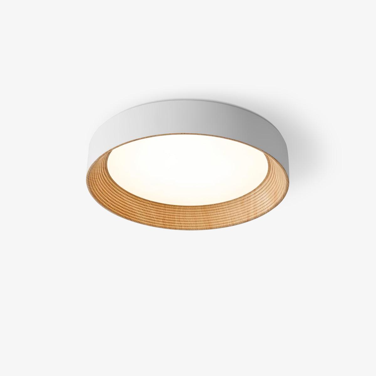 Paxburn Round Ceiling Light
