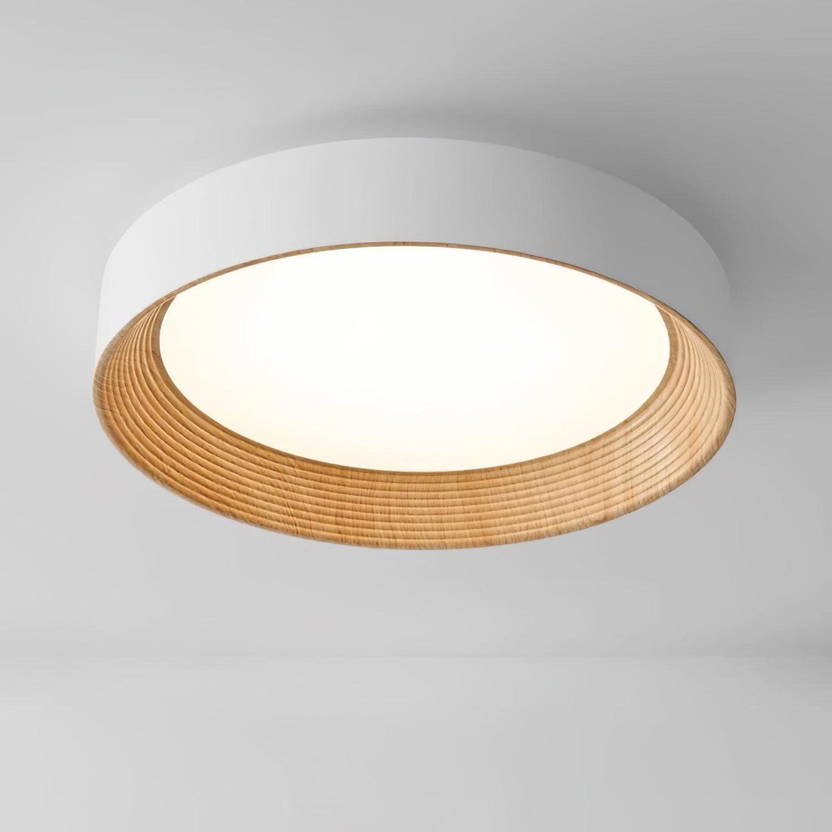 Paxburn Round Ceiling Light