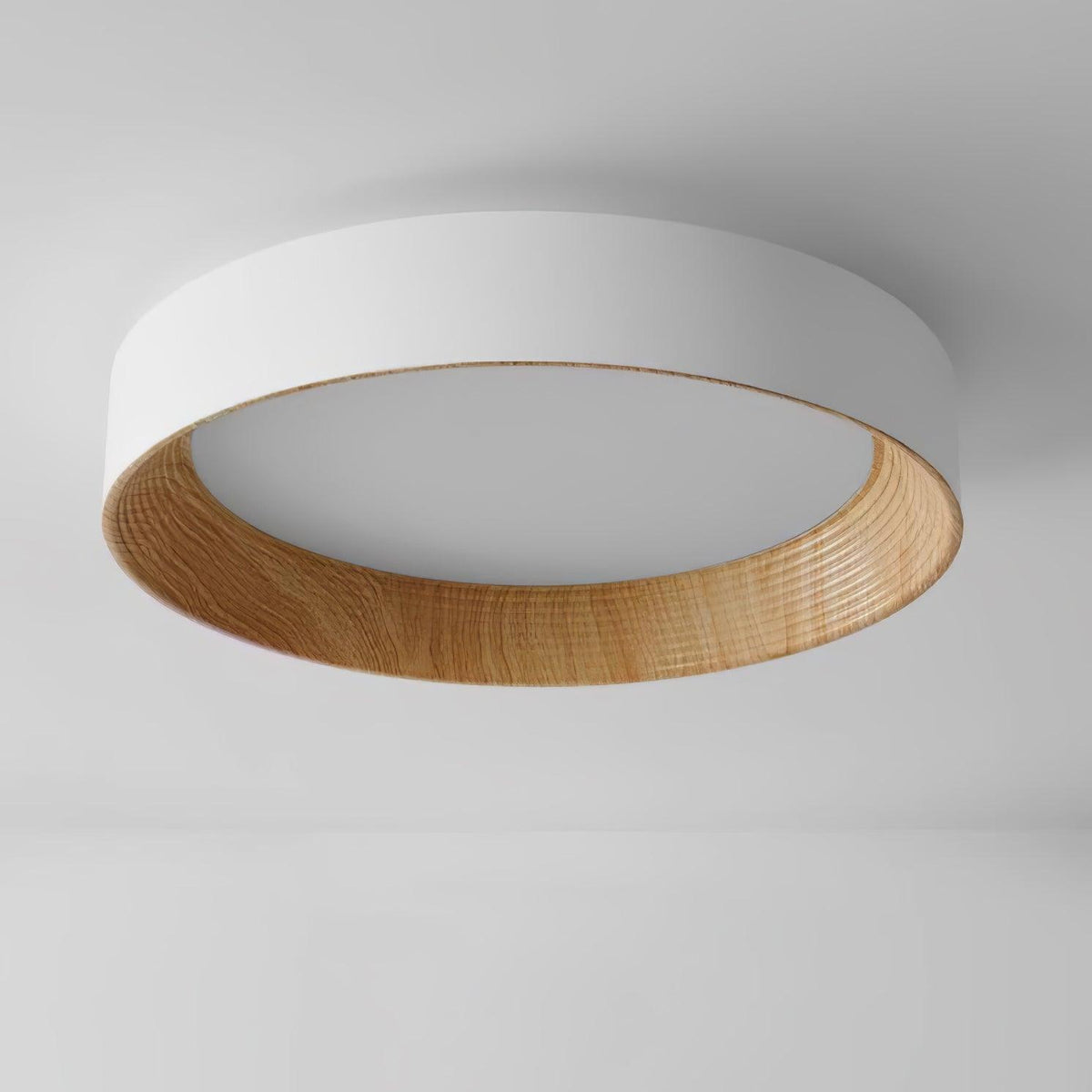 Paxburn Round Ceiling Light