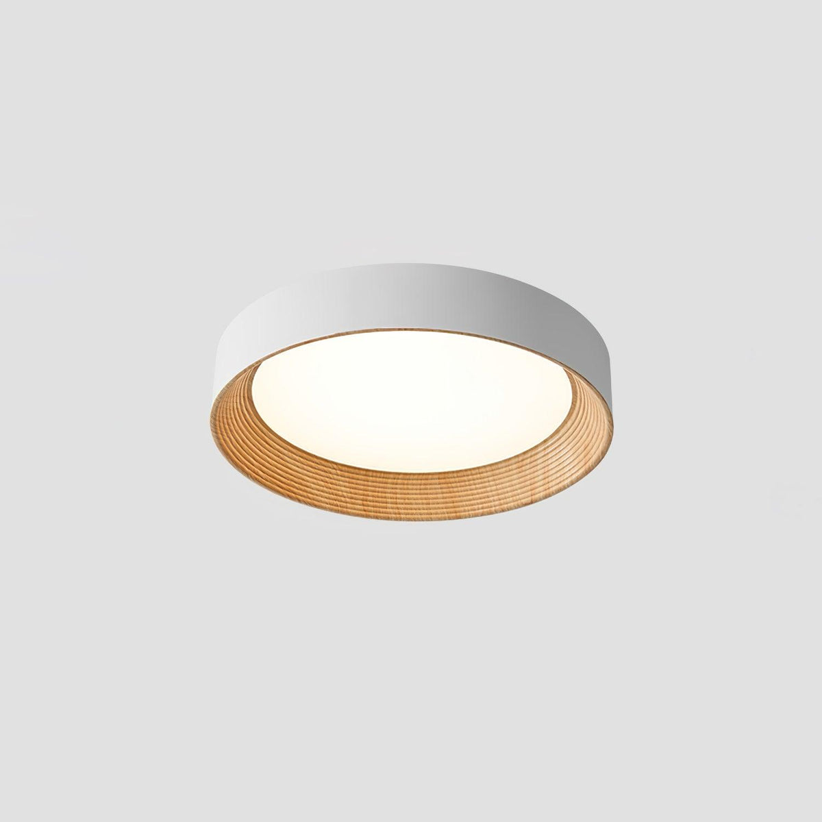 Paxburn Round Ceiling Light