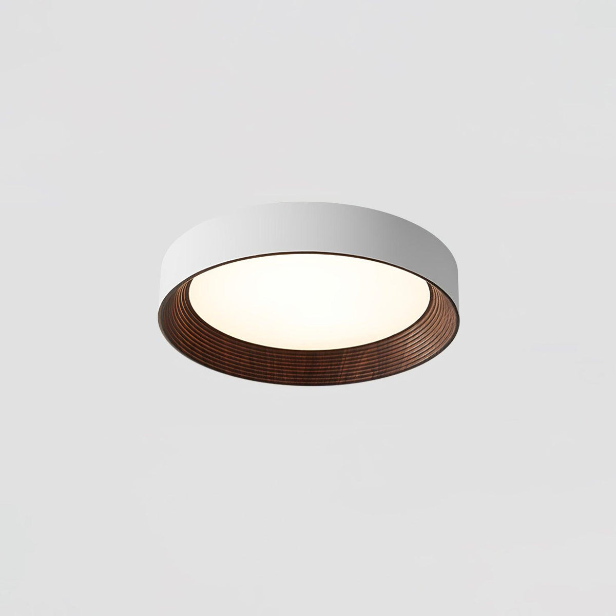 Paxburn Round Ceiling Light
