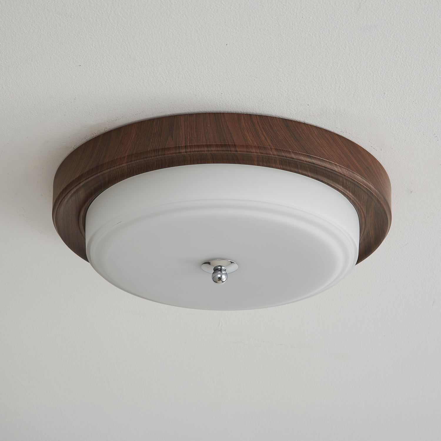 Omisvelle Ceiling Light