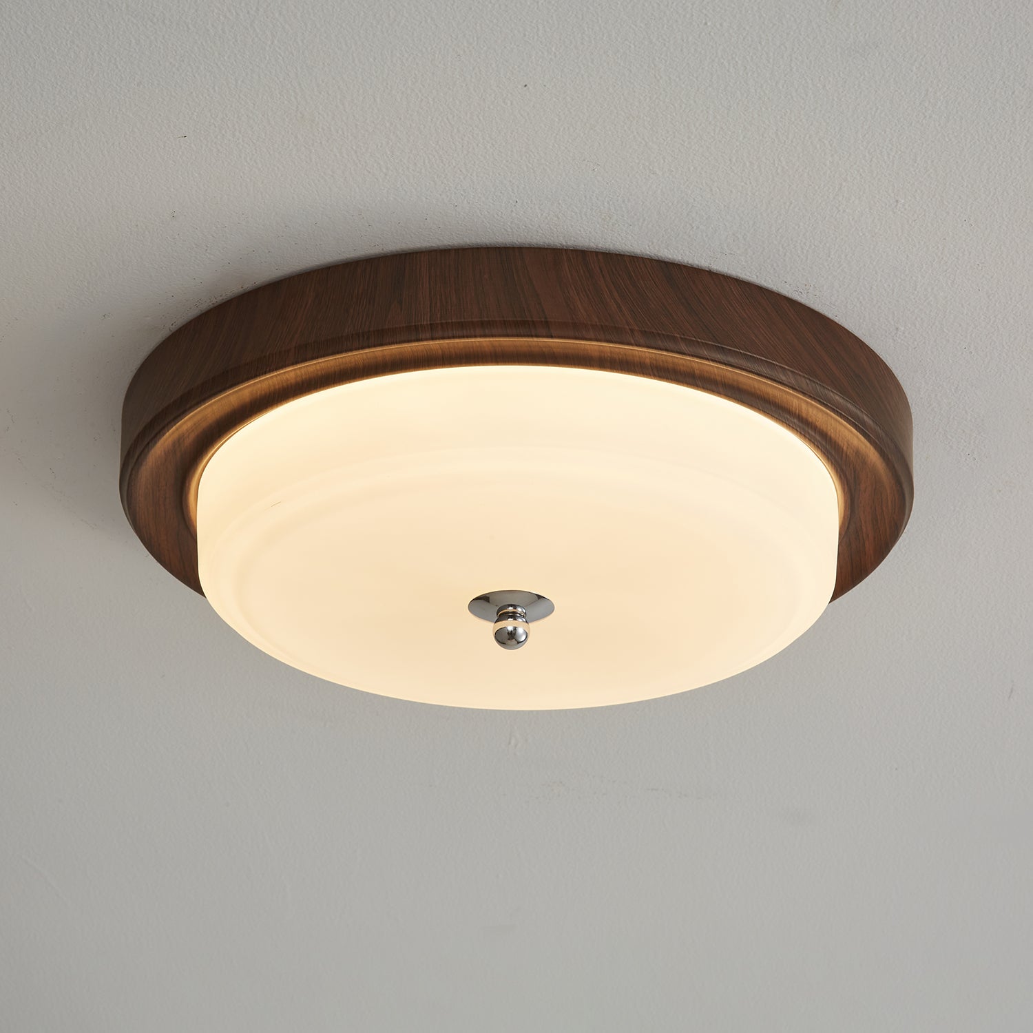 Omisvelle Ceiling Light