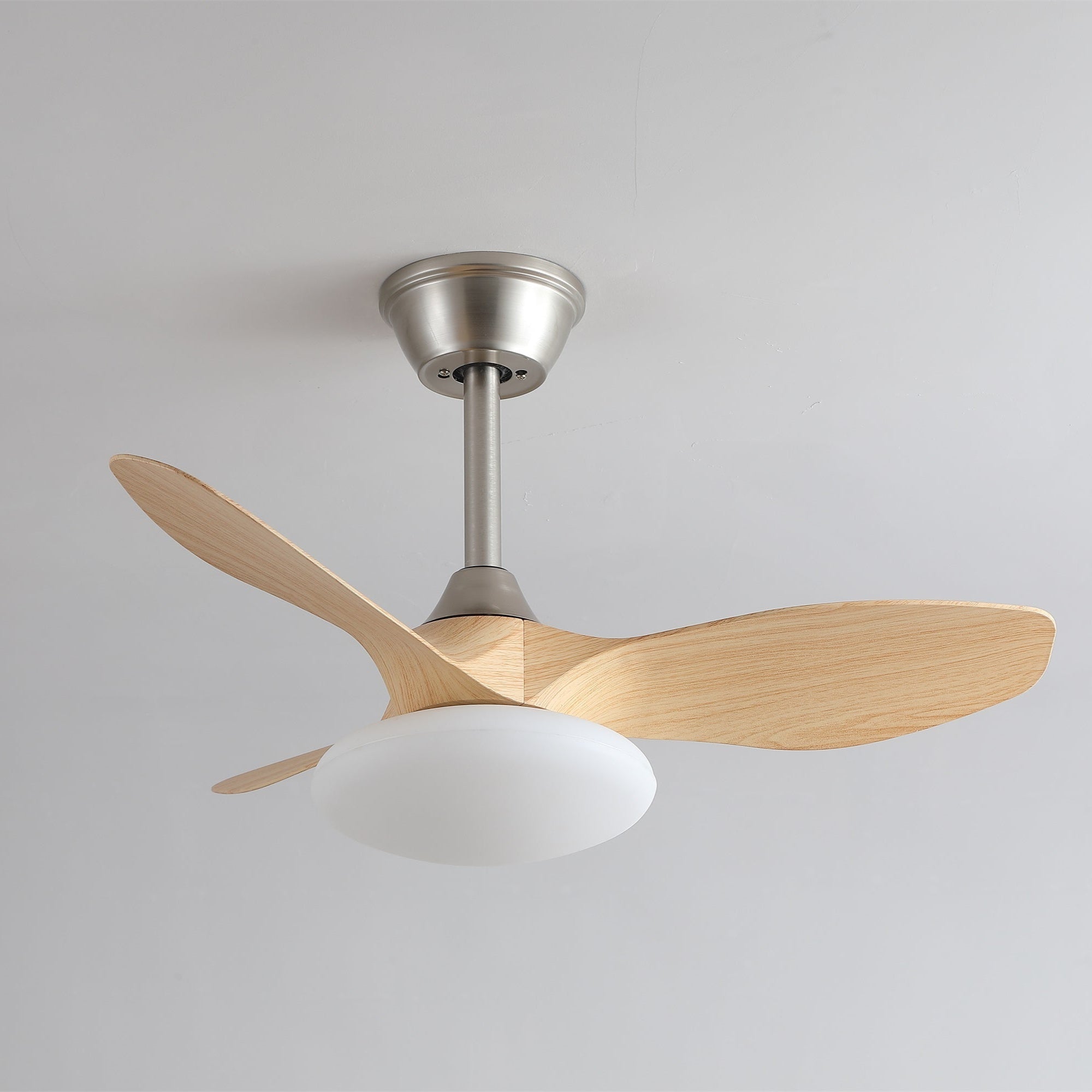 Zerinn Ceiling Fan
