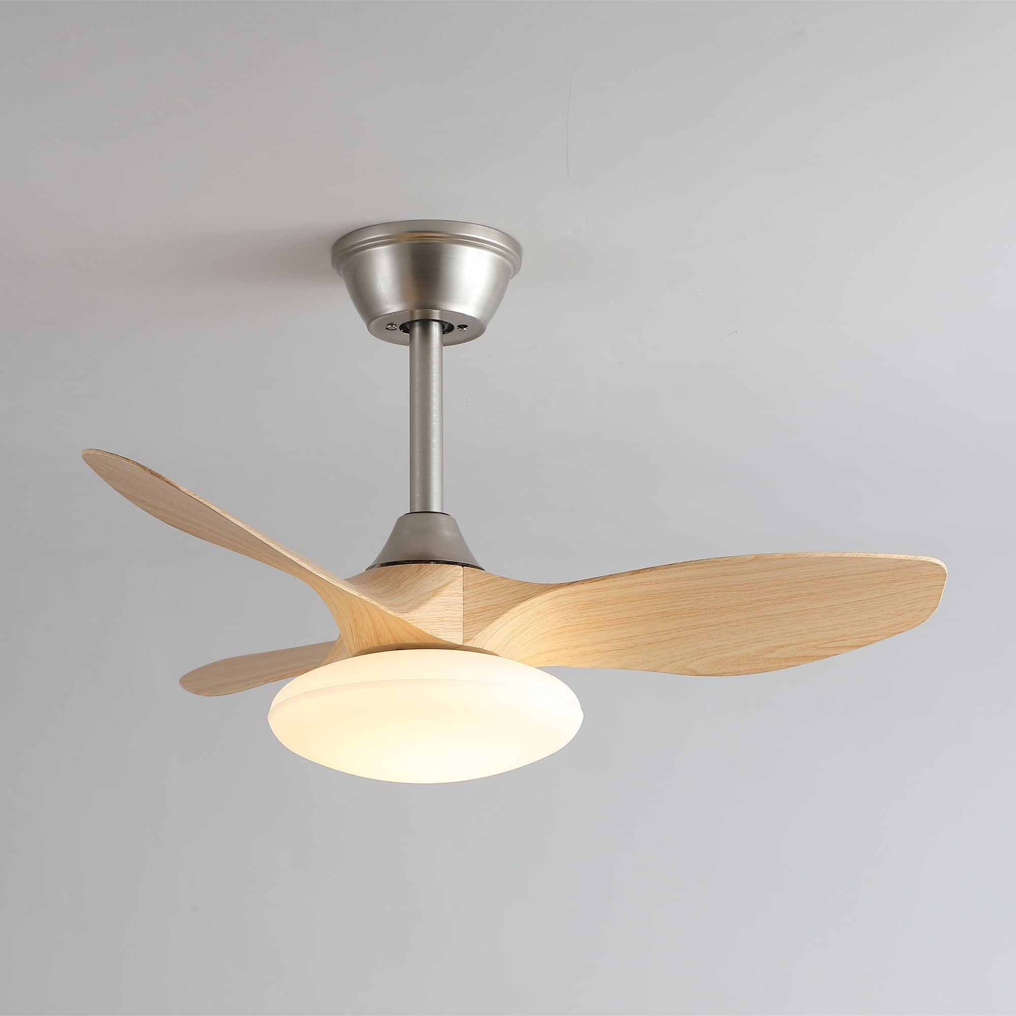 Zerinn Ceiling Fan