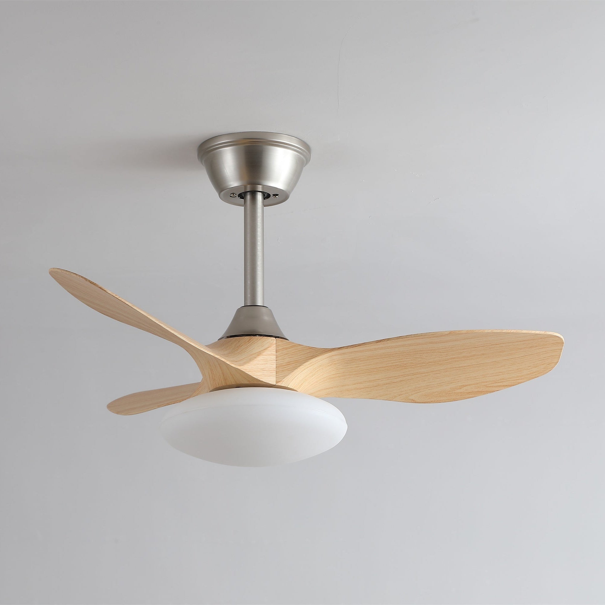 Zerinn Ceiling Fan