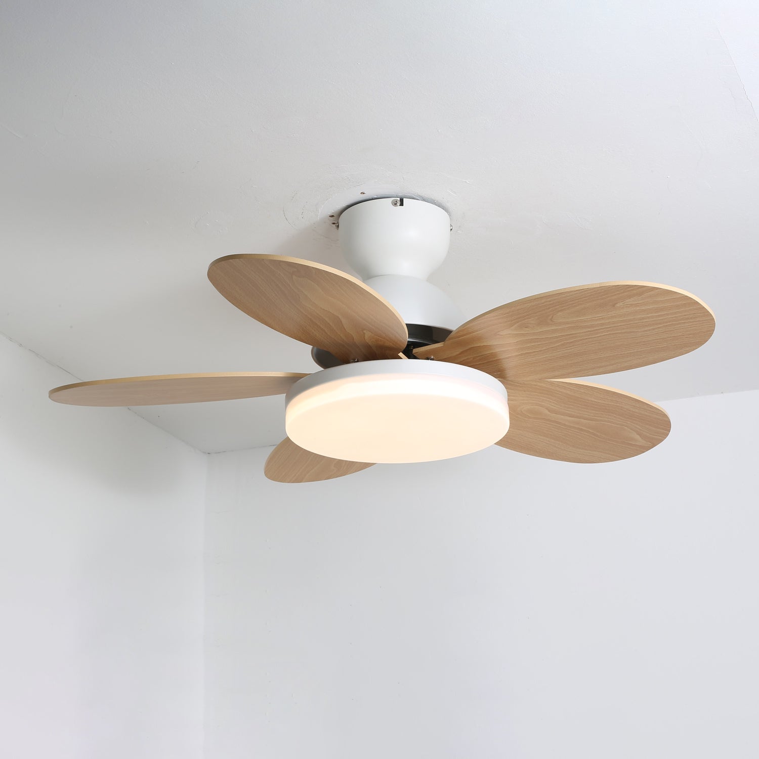 Merrier Ceiling Fan