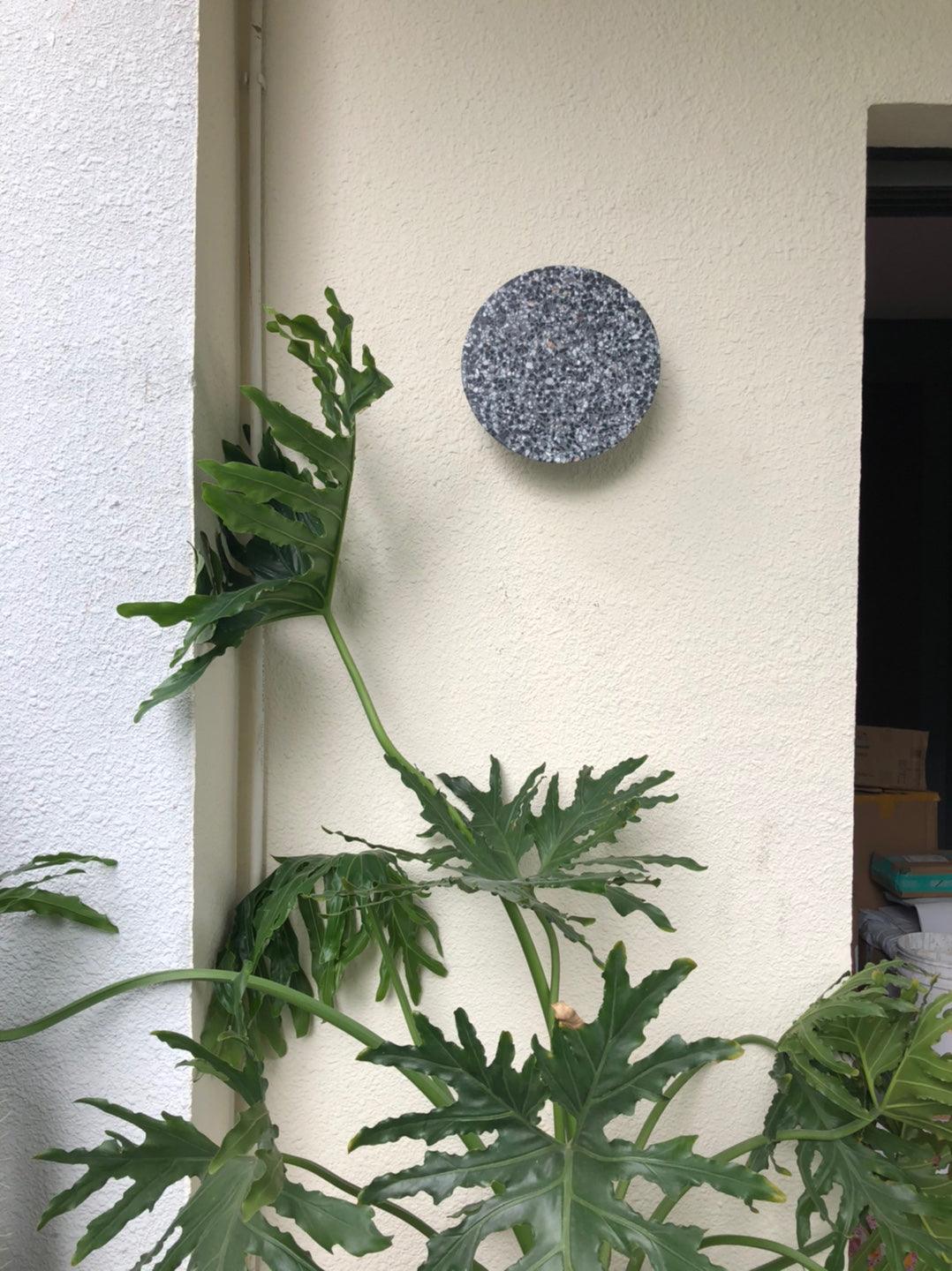 Talima Wall Light