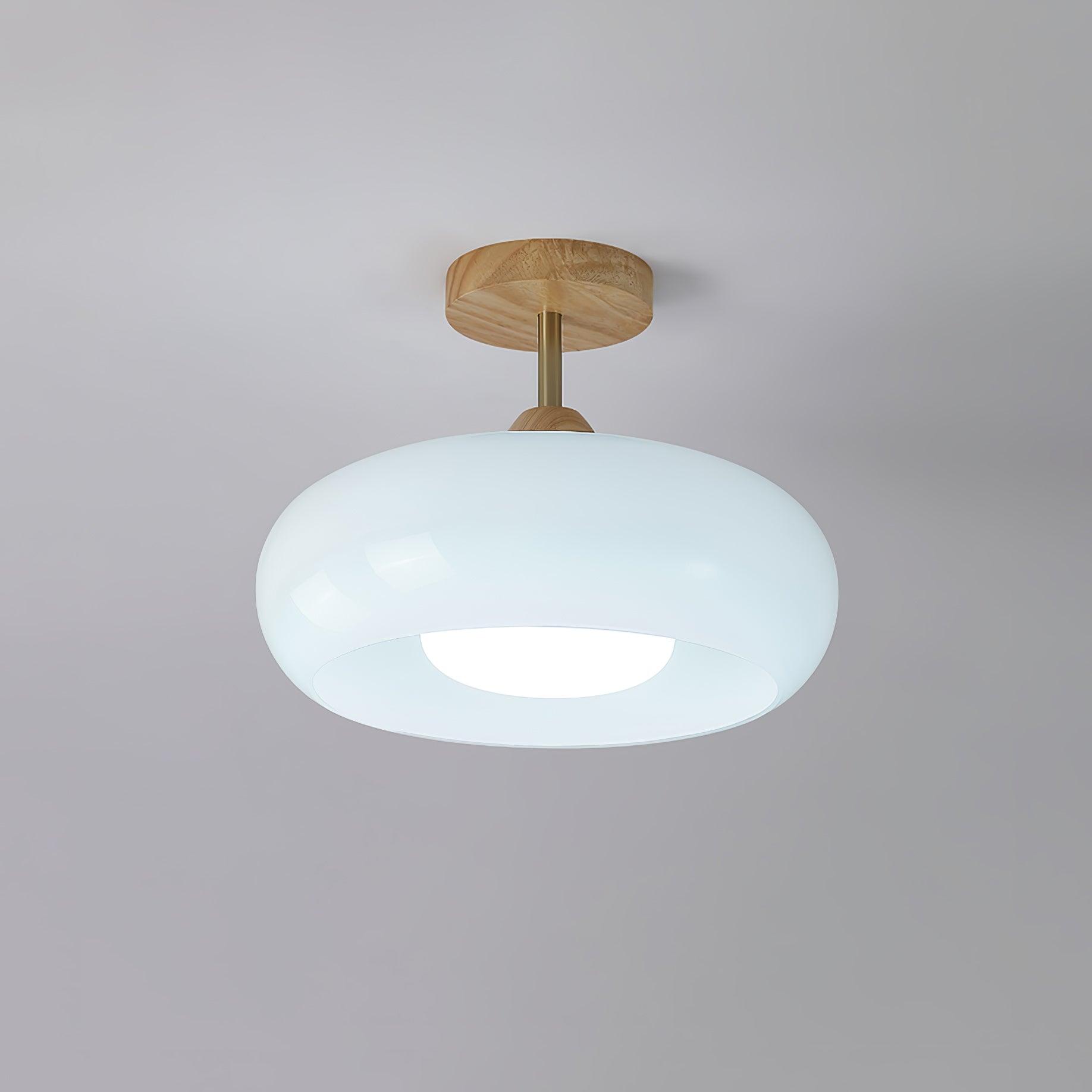 Cravik Ceiling Light