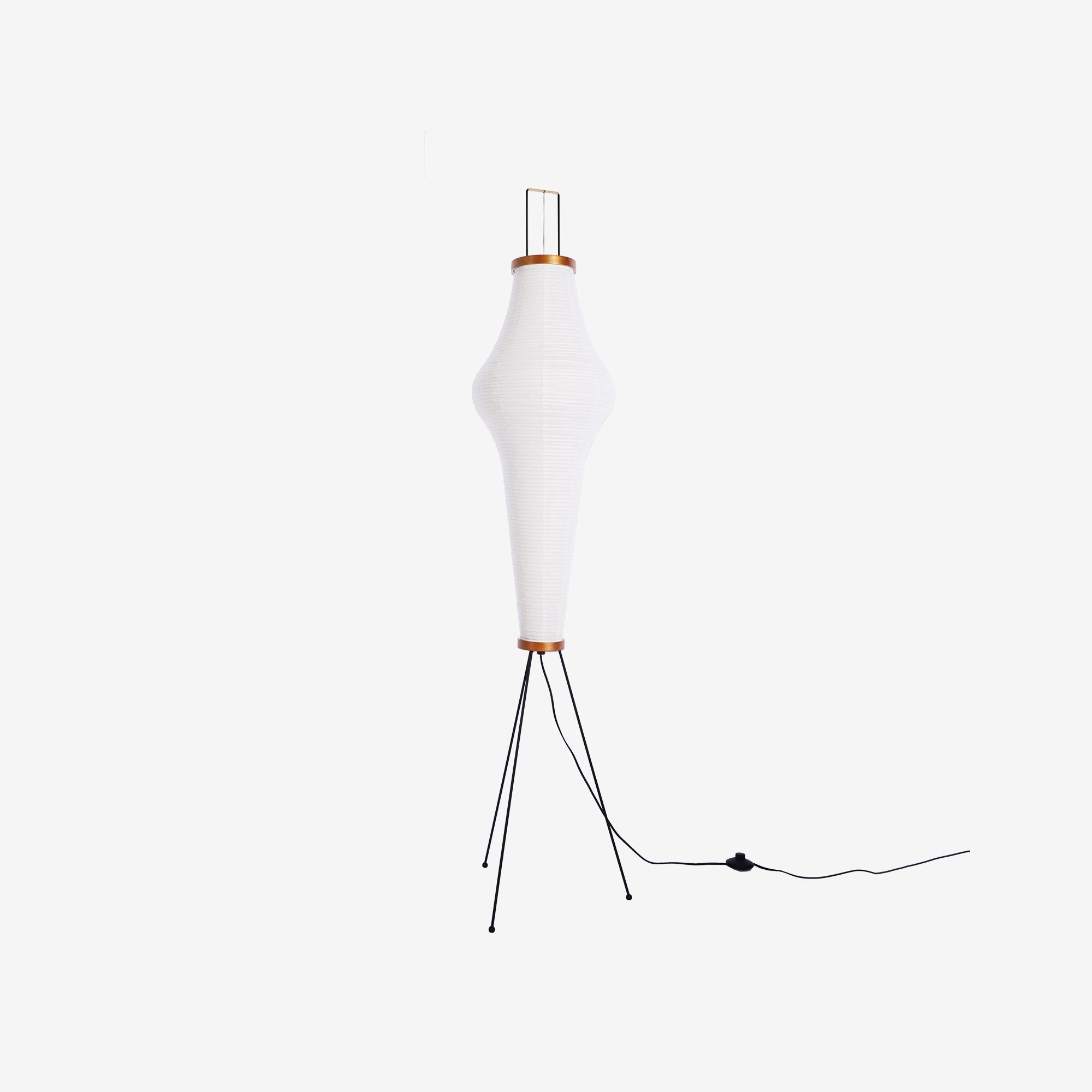 Yariaus Floor Lamp