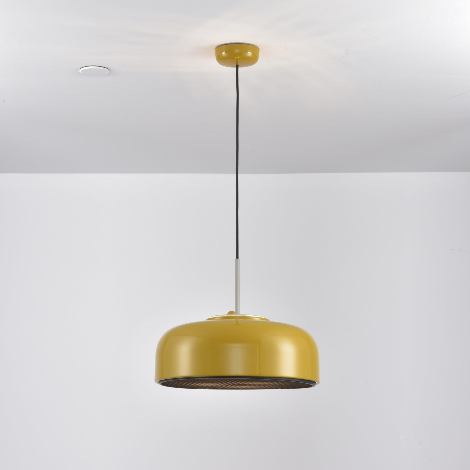 Pogemy Pendant Light
