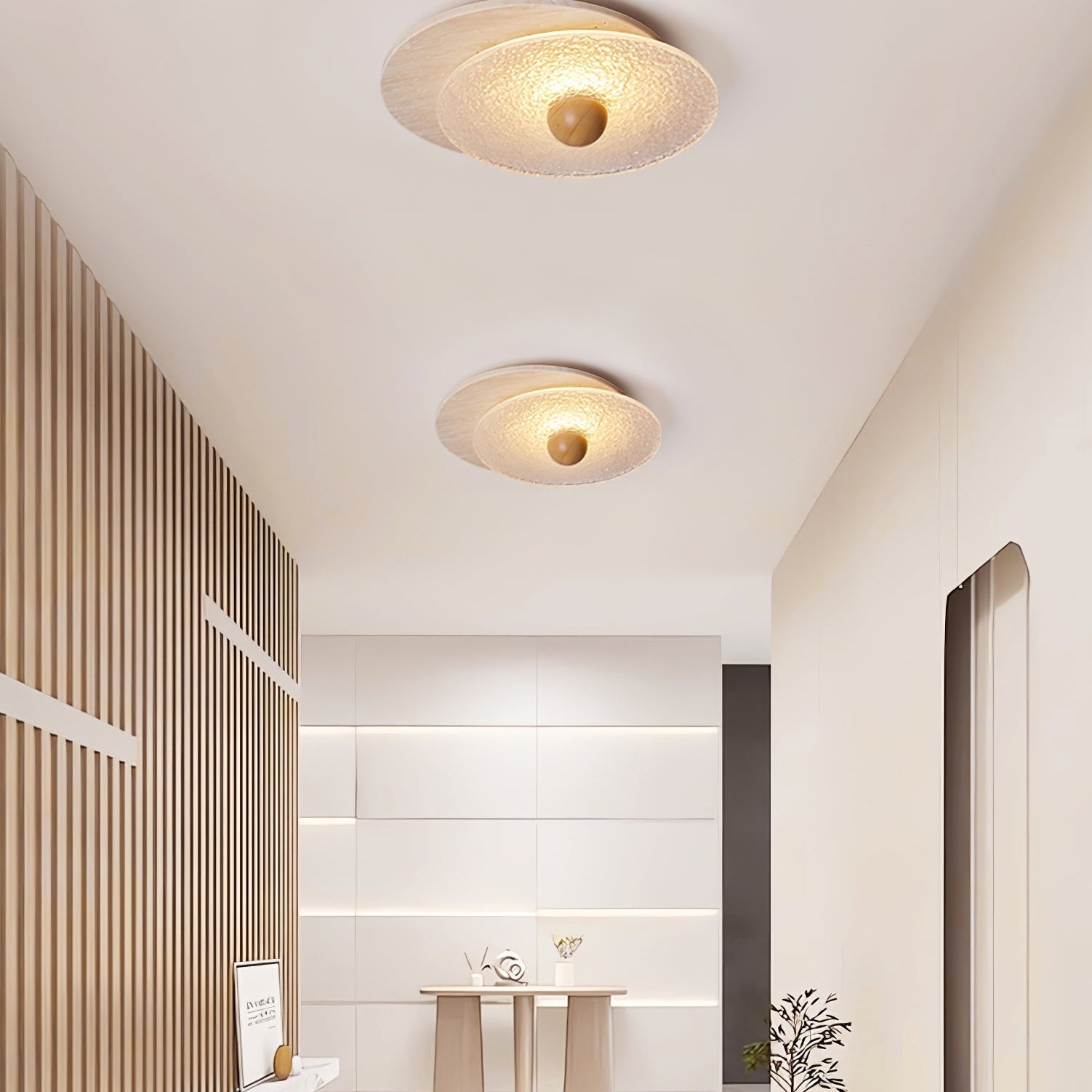 Radiza Double Disc Ceiling Light