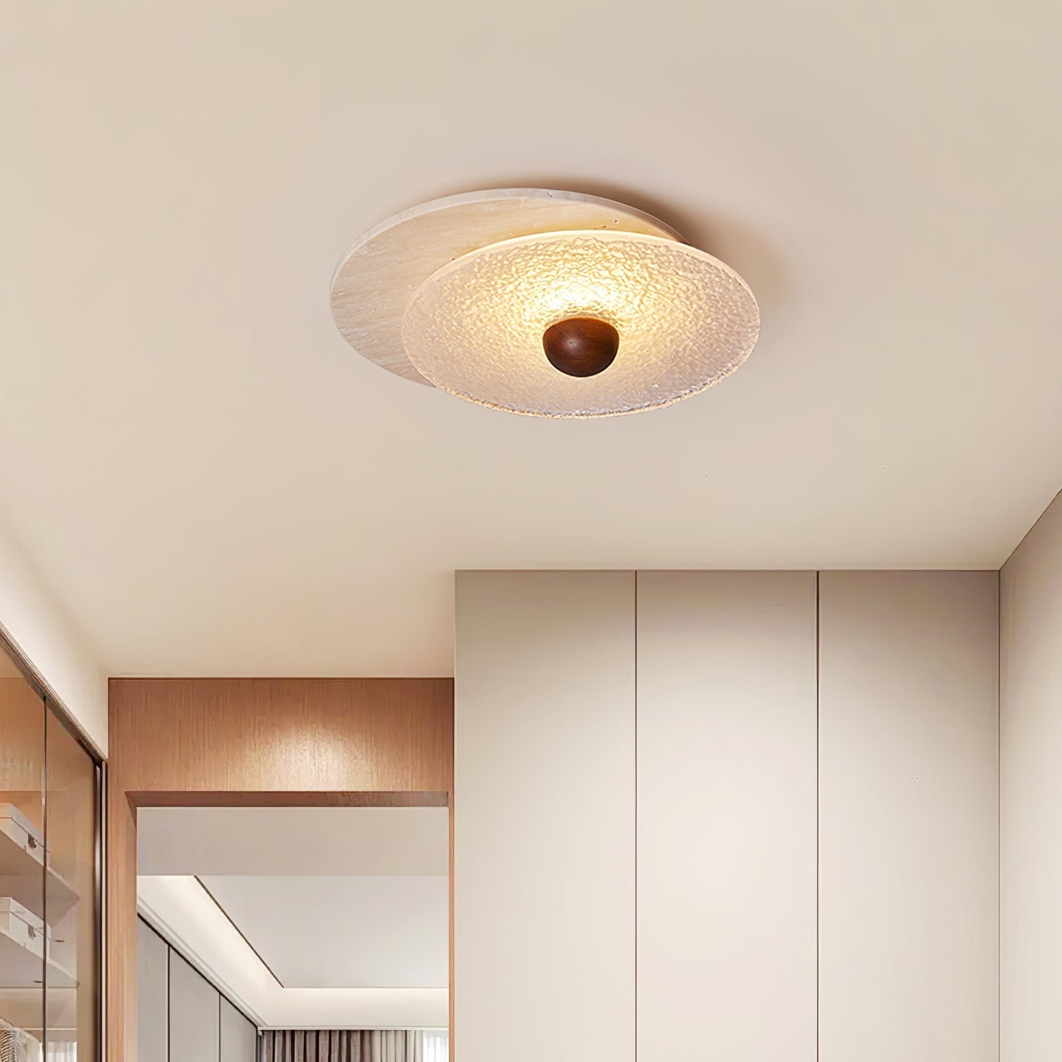 Radiza Double Disc Ceiling Light