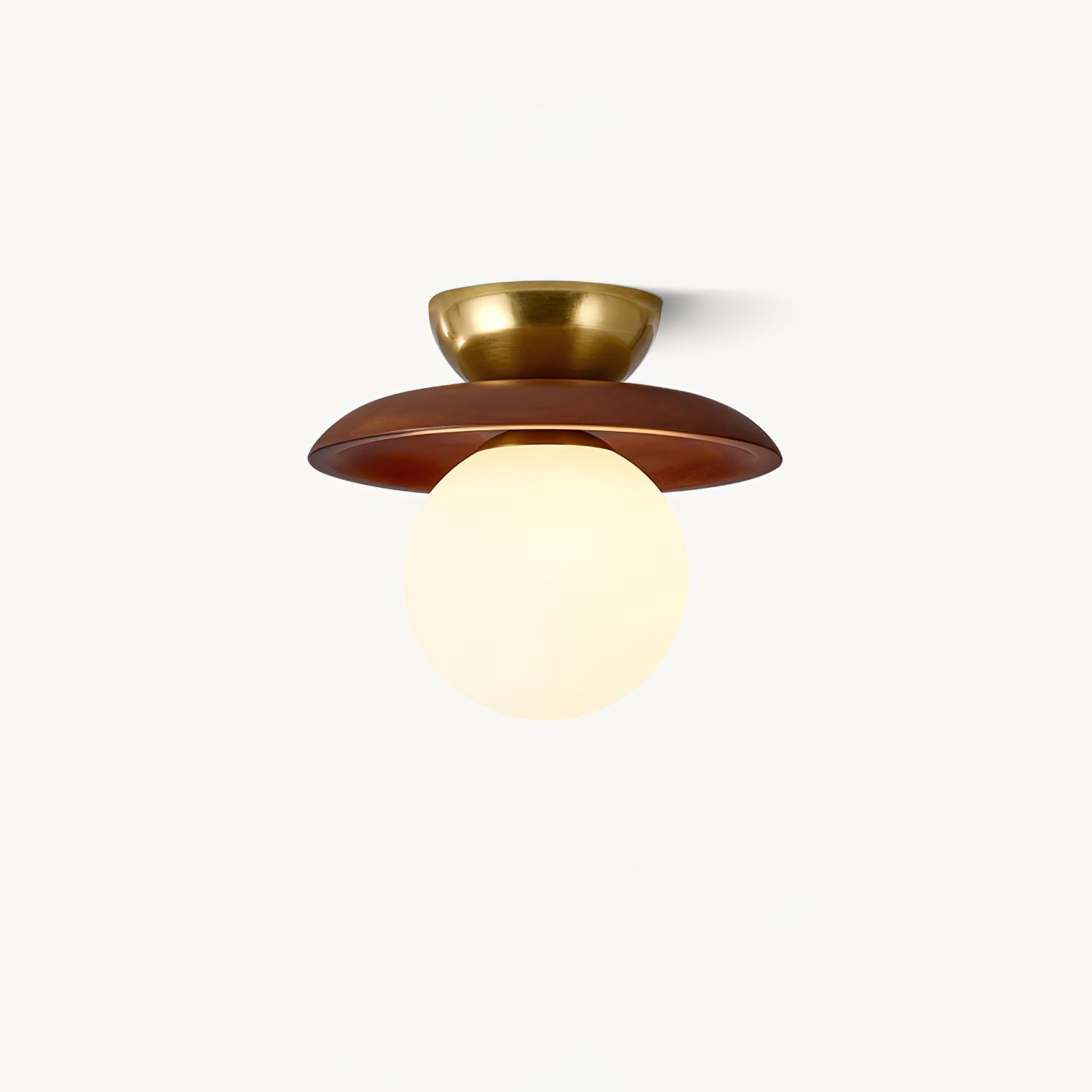 Mocon Ceiling Light