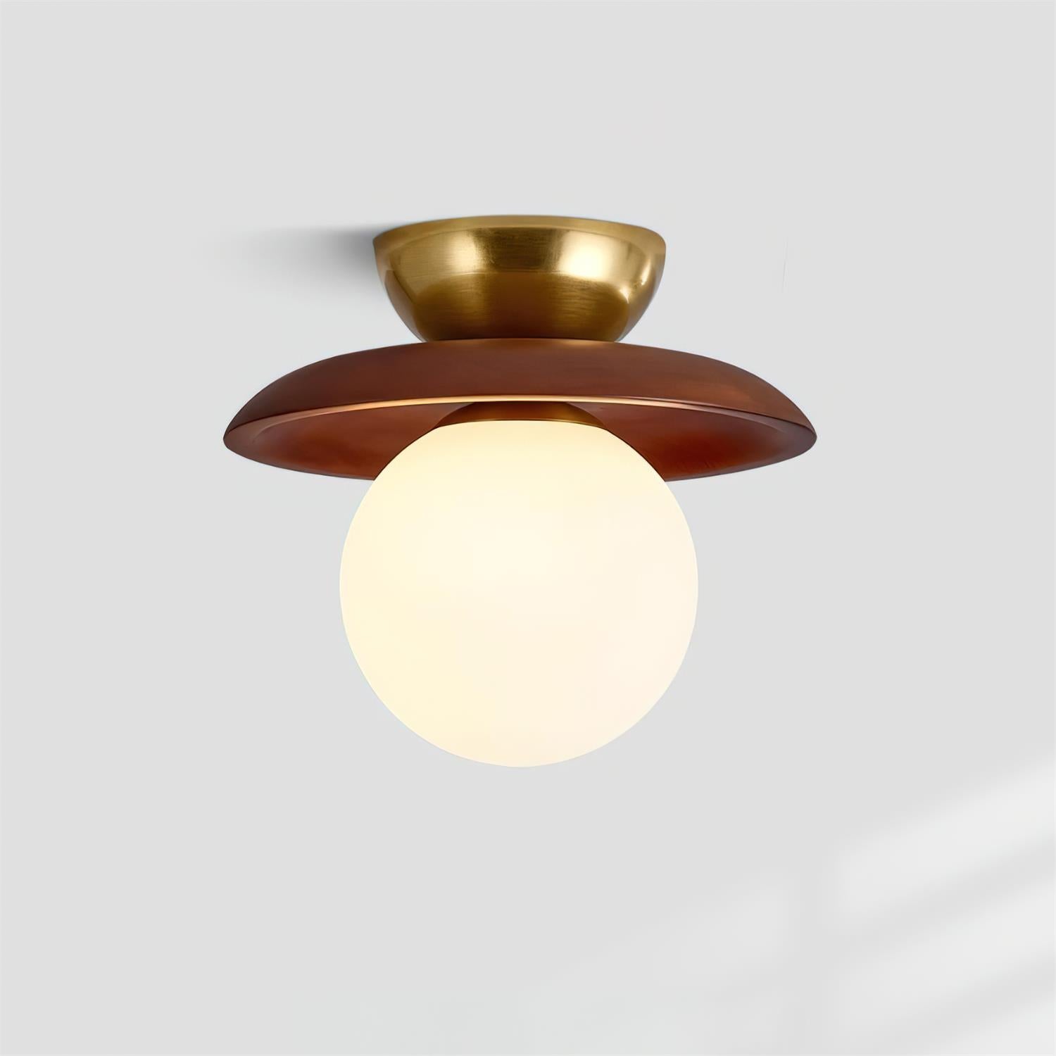 Mocon Ceiling Light
