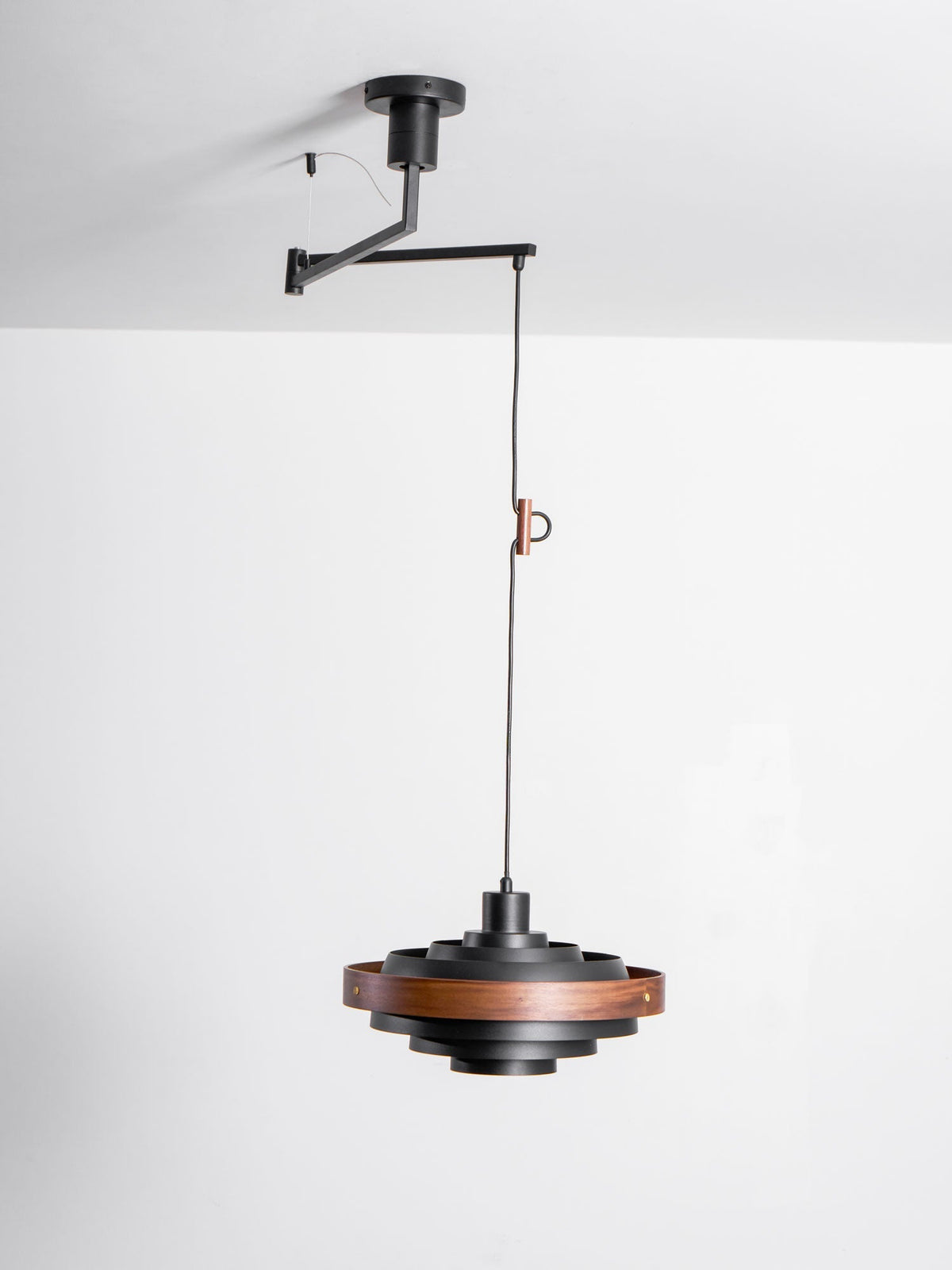 Emalen Articulated Pendant Light