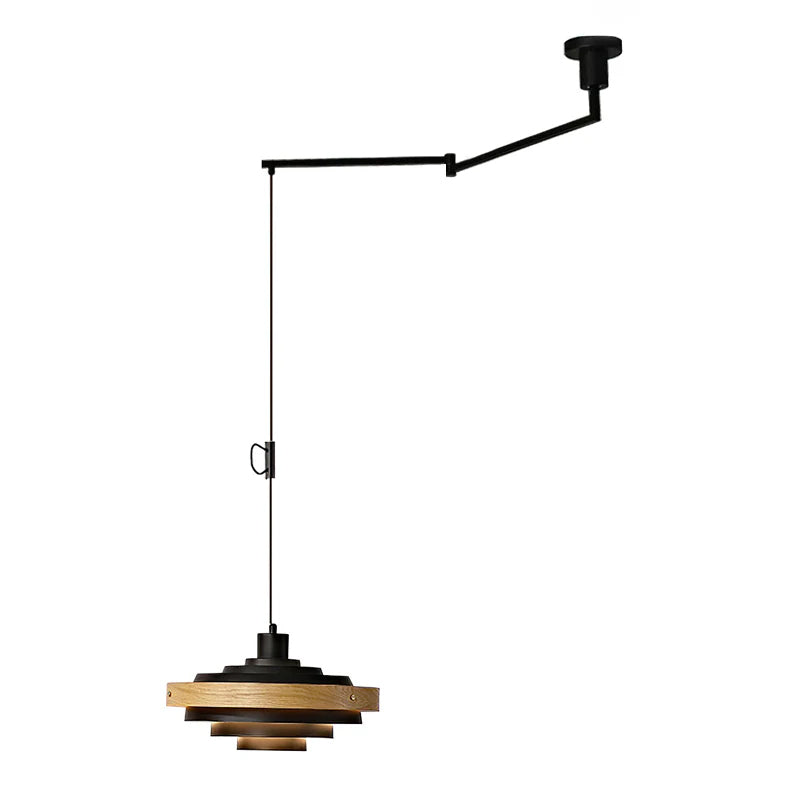 Emalen Articulated Pendant Light