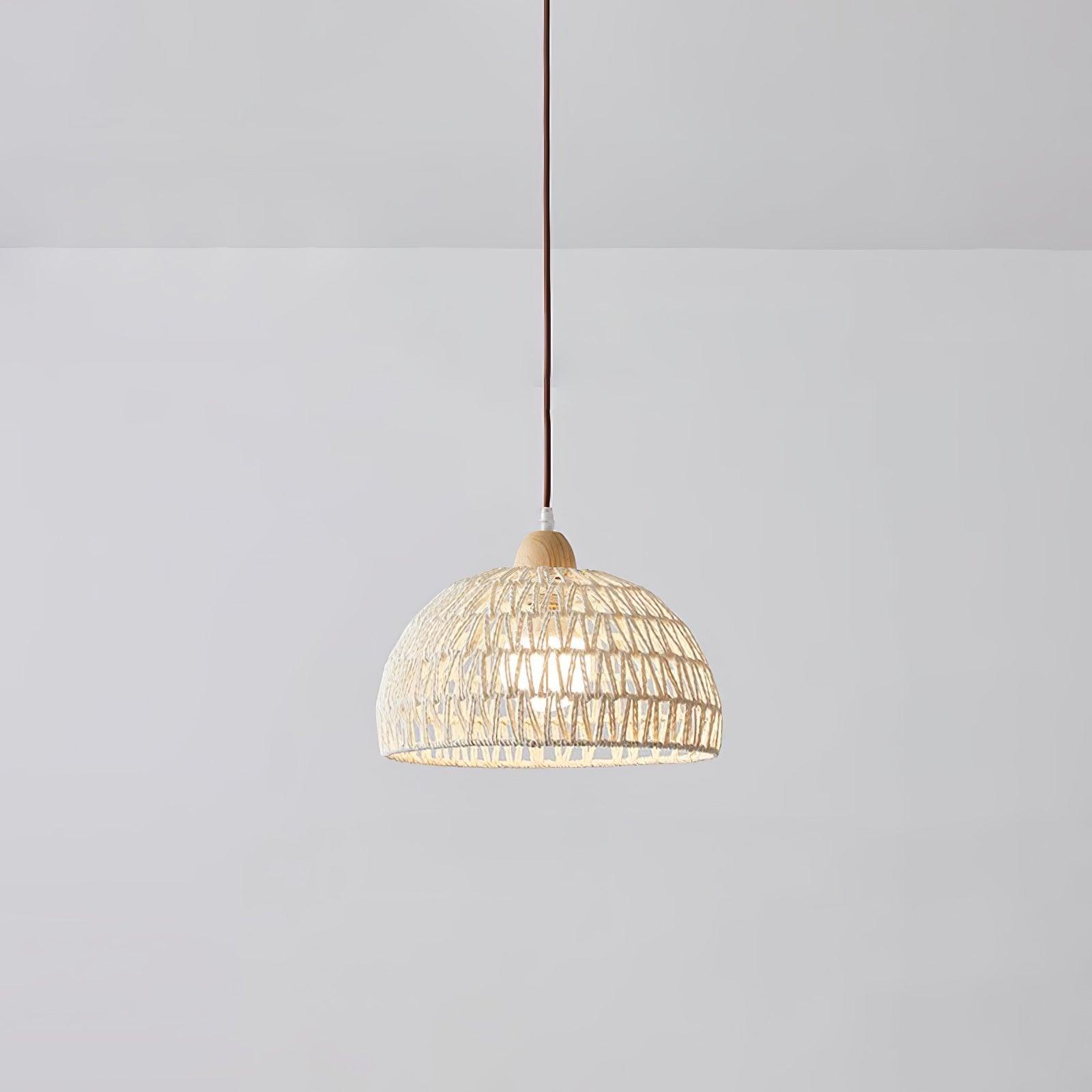 Brinavo Pendant Light