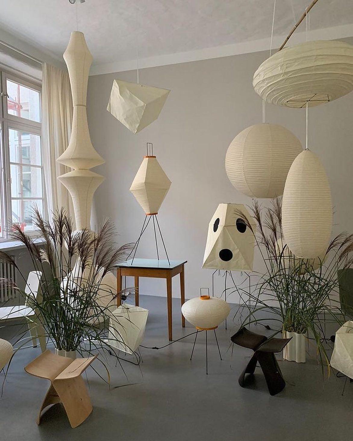 Dunioa Pendant Light