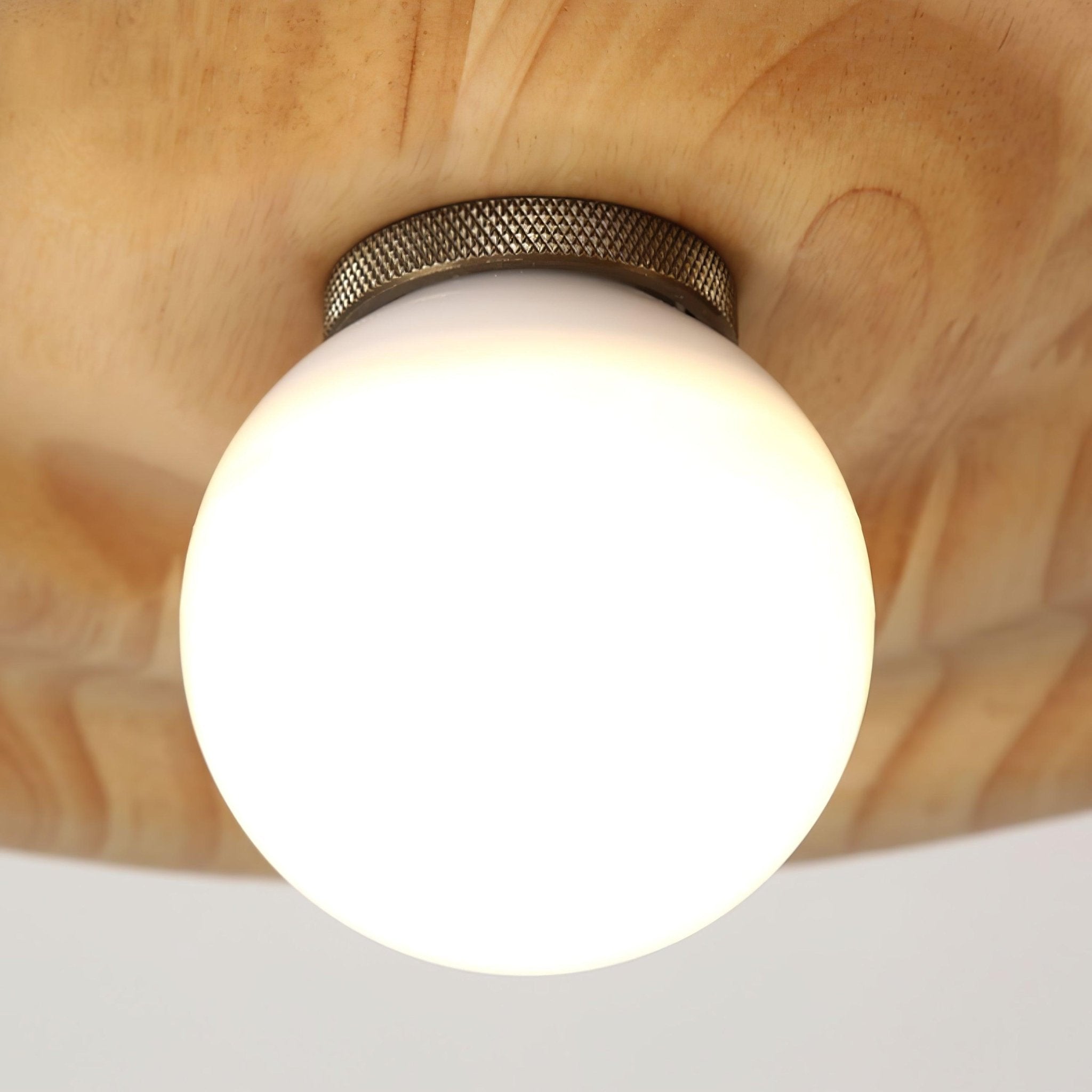 Rilwon Pendant Light