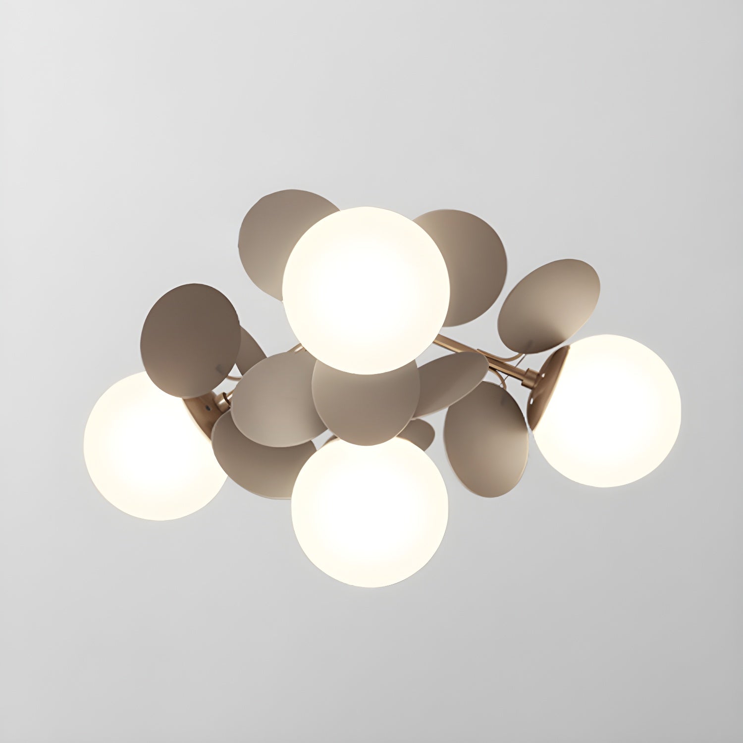Rojisa Ceiling Light