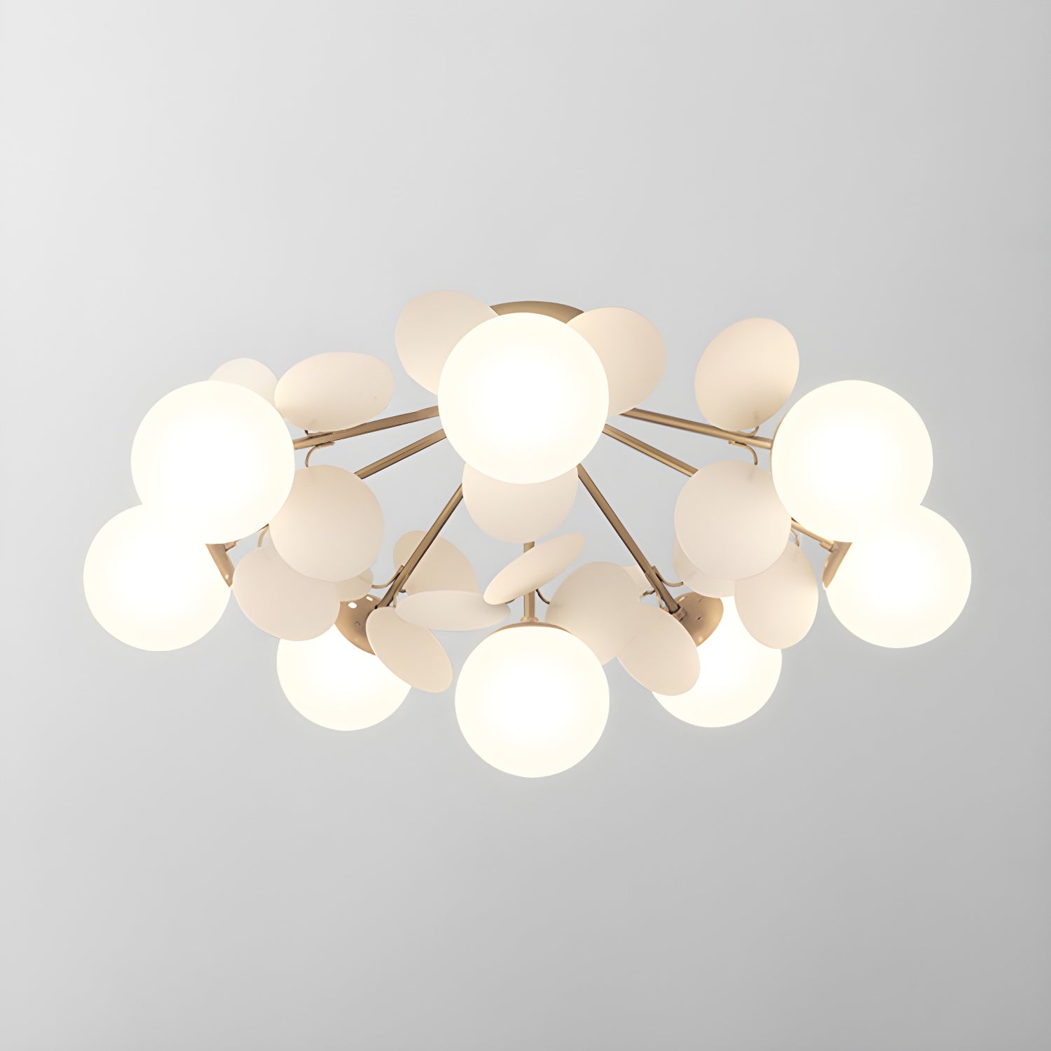 Rojisa Ceiling Light