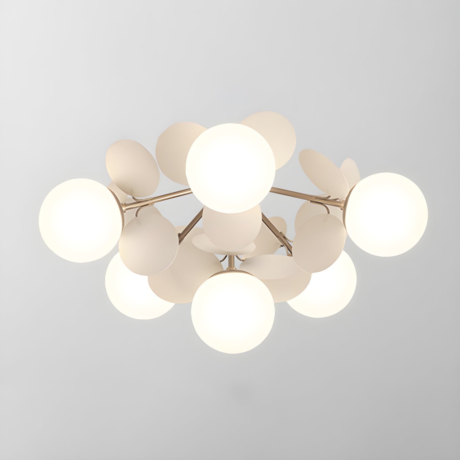 Rojisa Ceiling Light