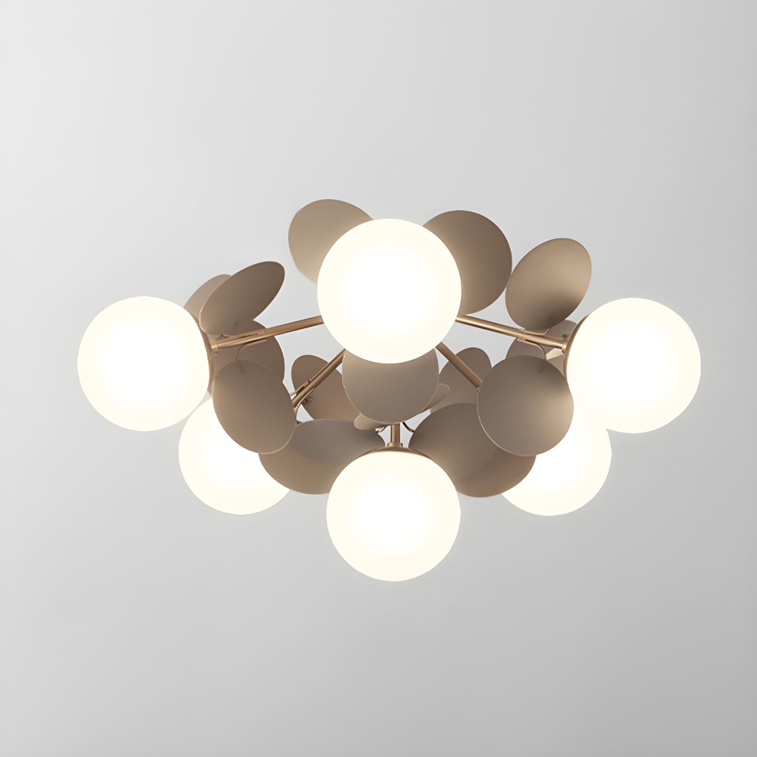 Rojisa Ceiling Light