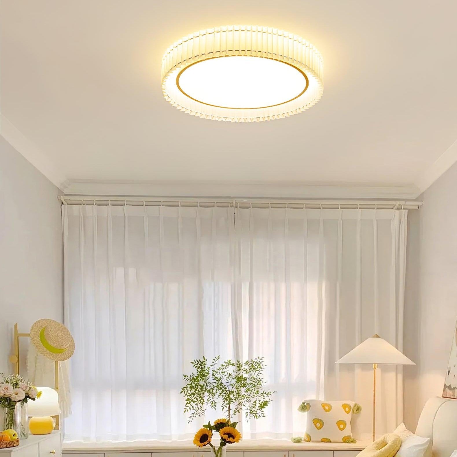 Pelzave Ceiling Light