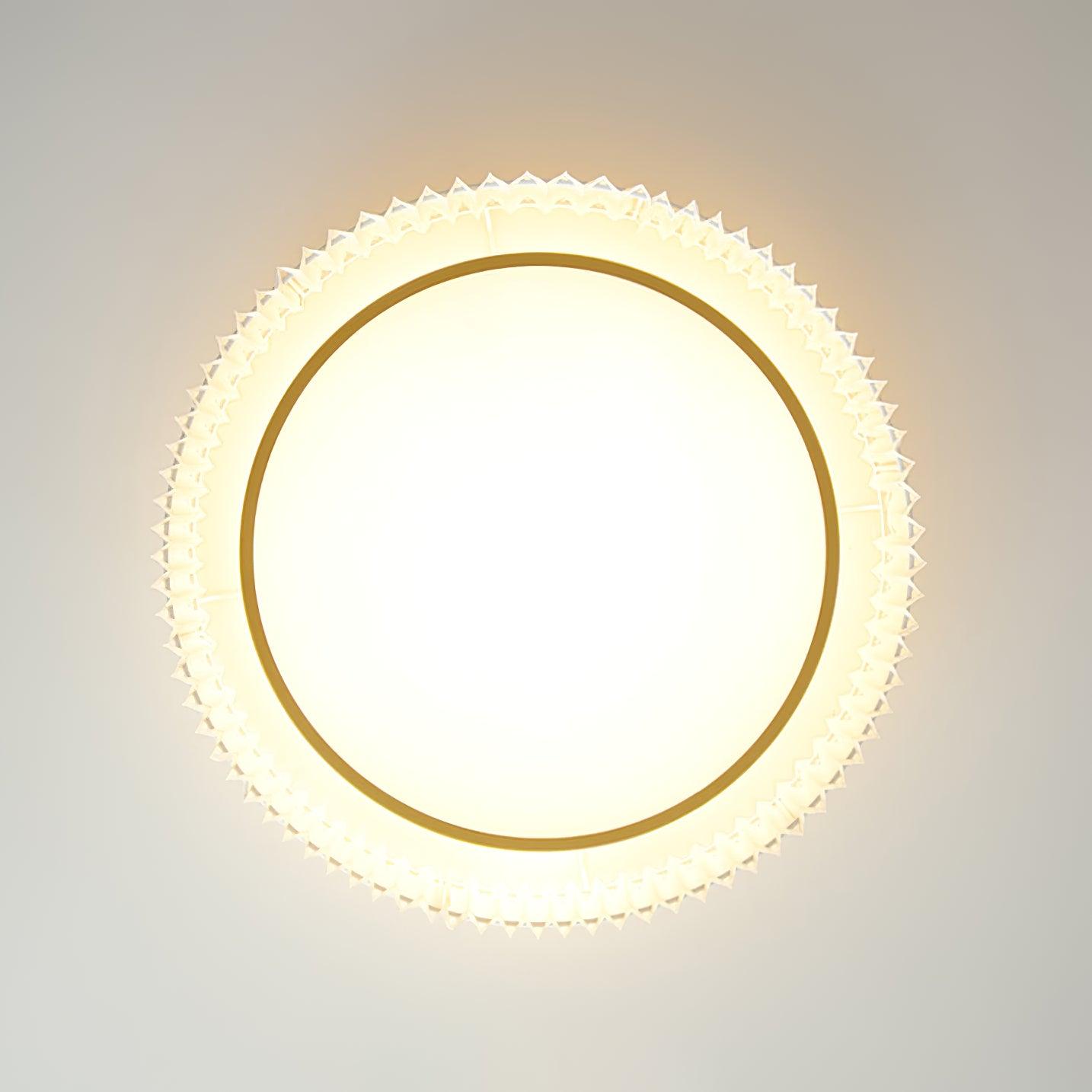 Pelzave Ceiling Light