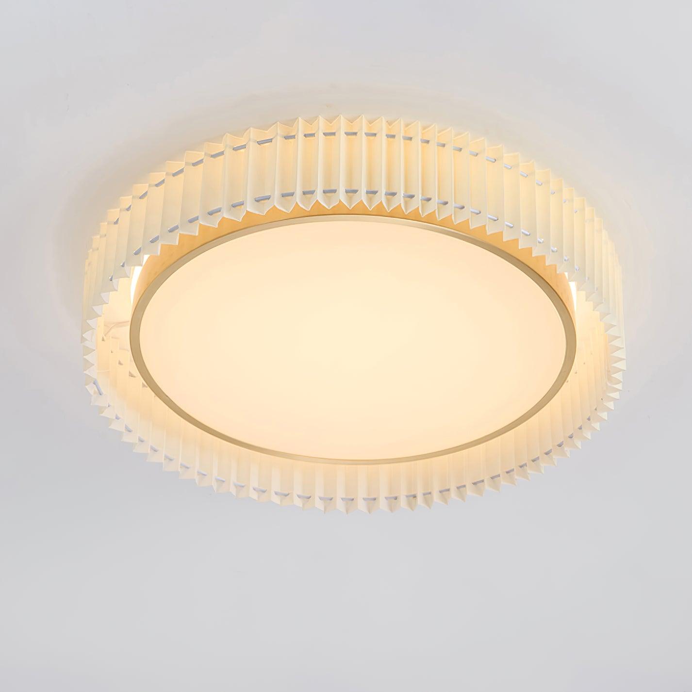 Pelzave Ceiling Light