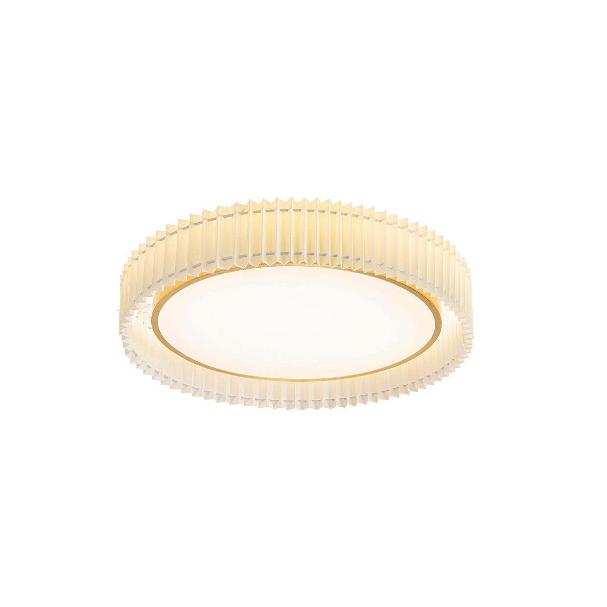 Pelzave Ceiling Light