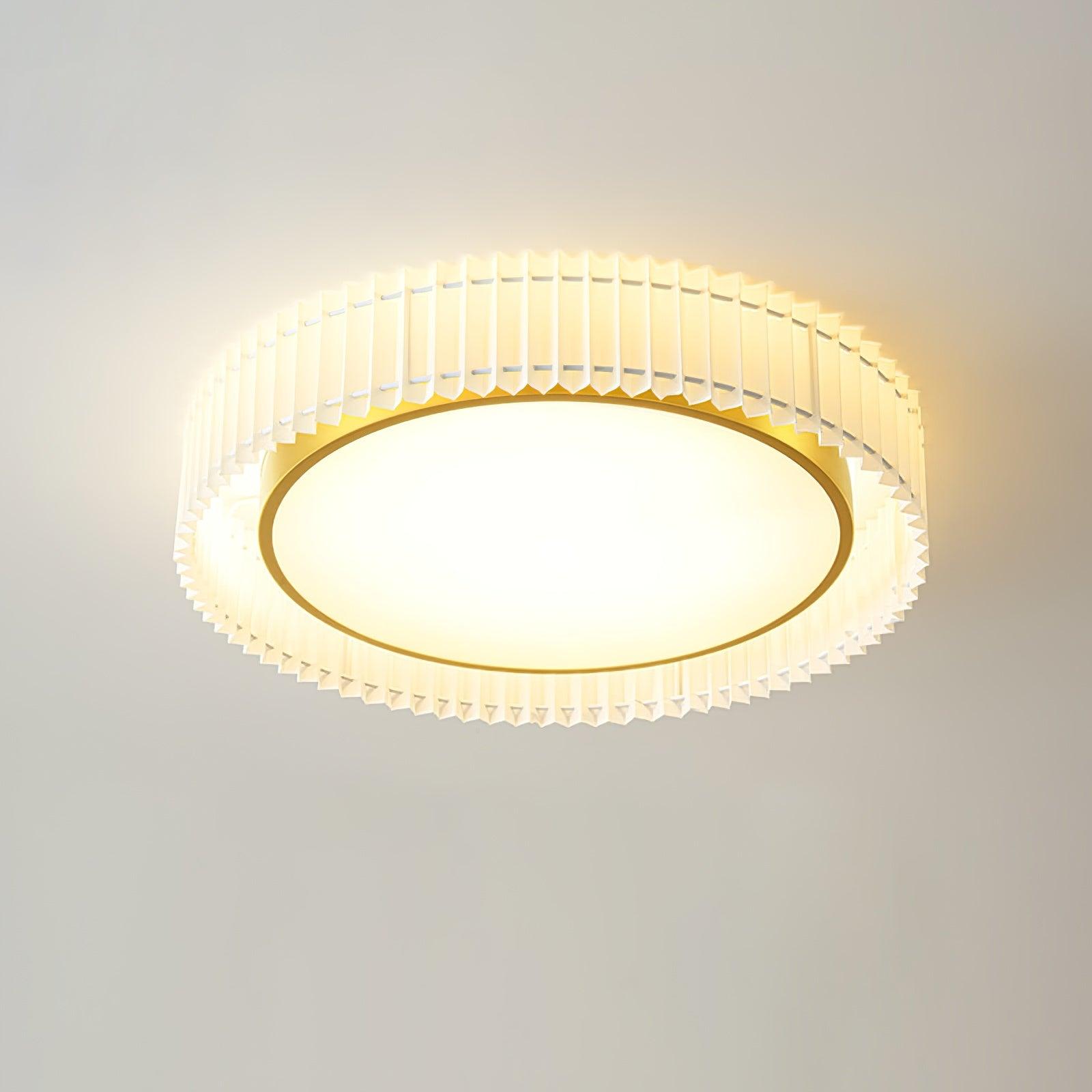 Pelzave Ceiling Light