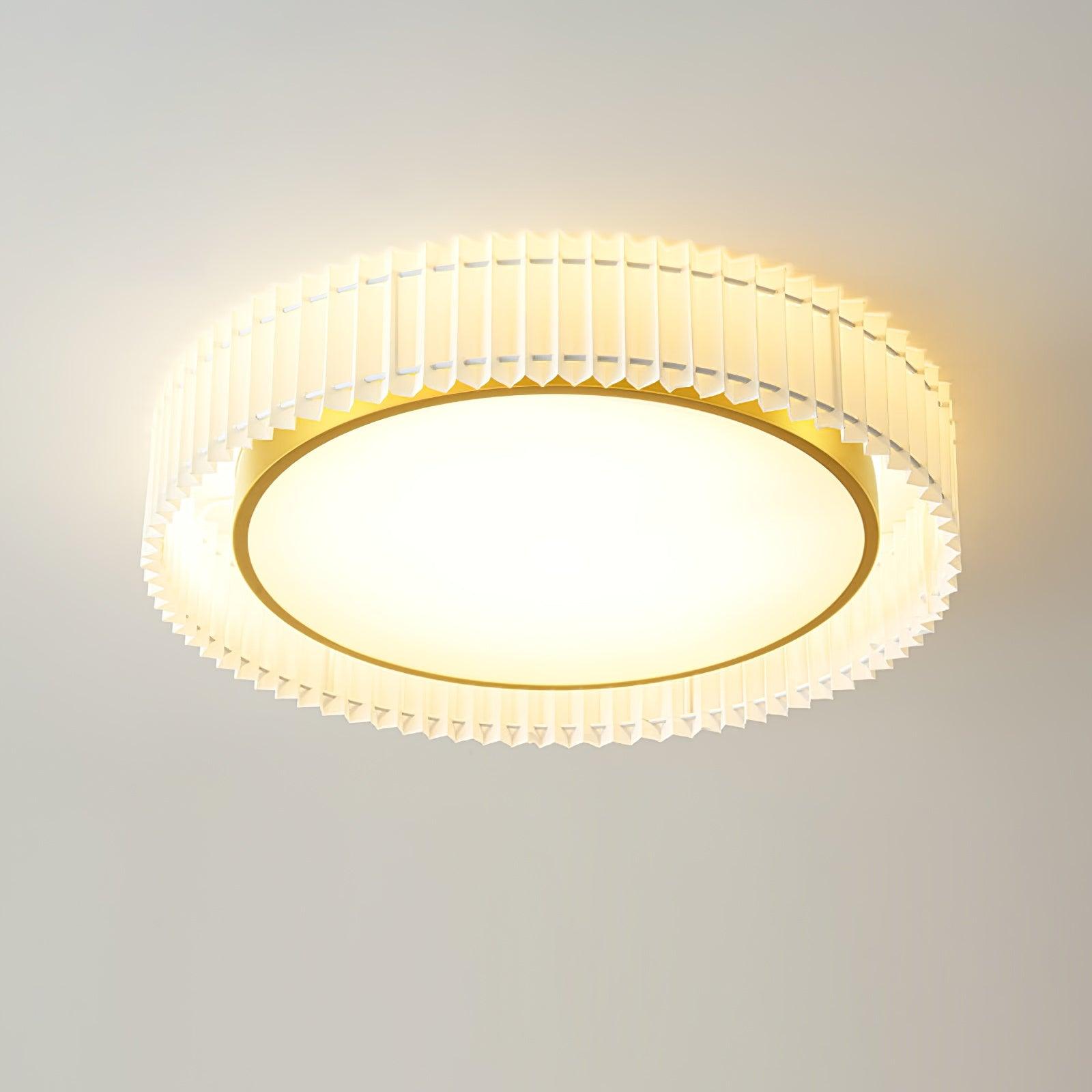 Pelzave Ceiling Light