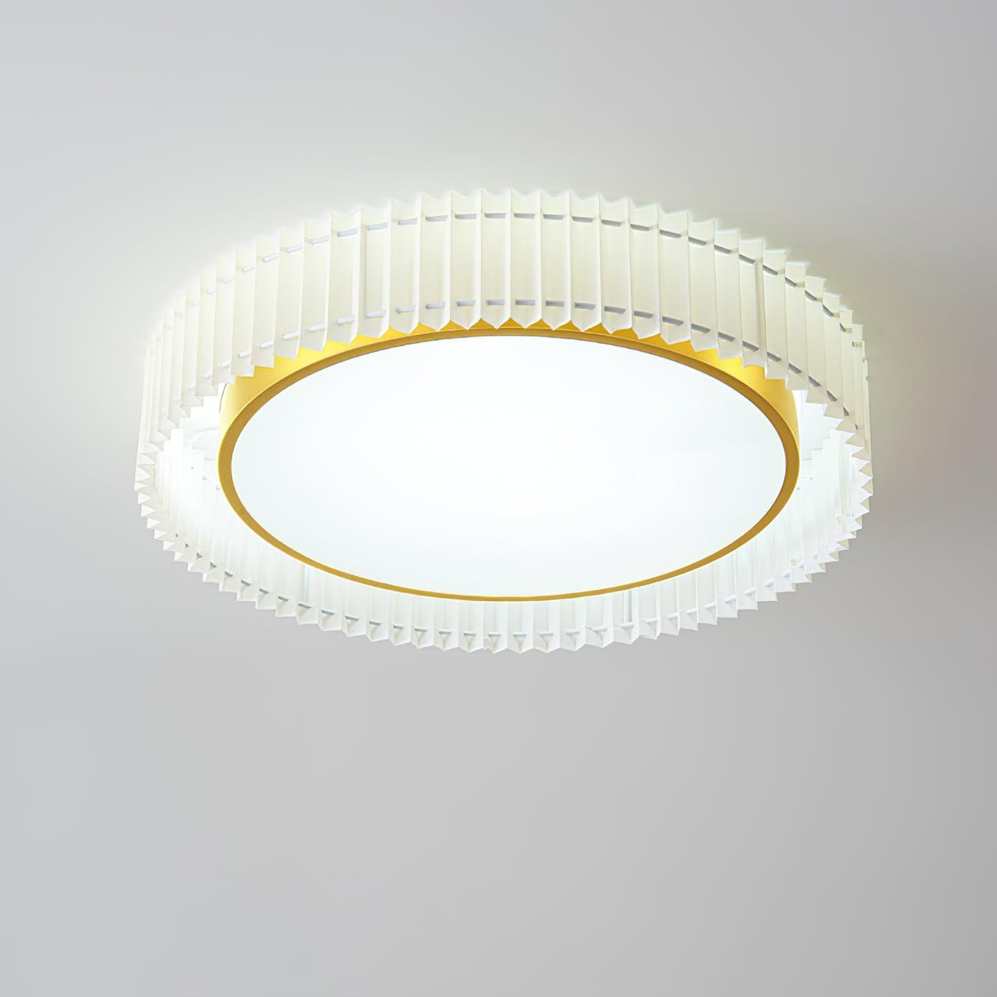 Pelzave Ceiling Light