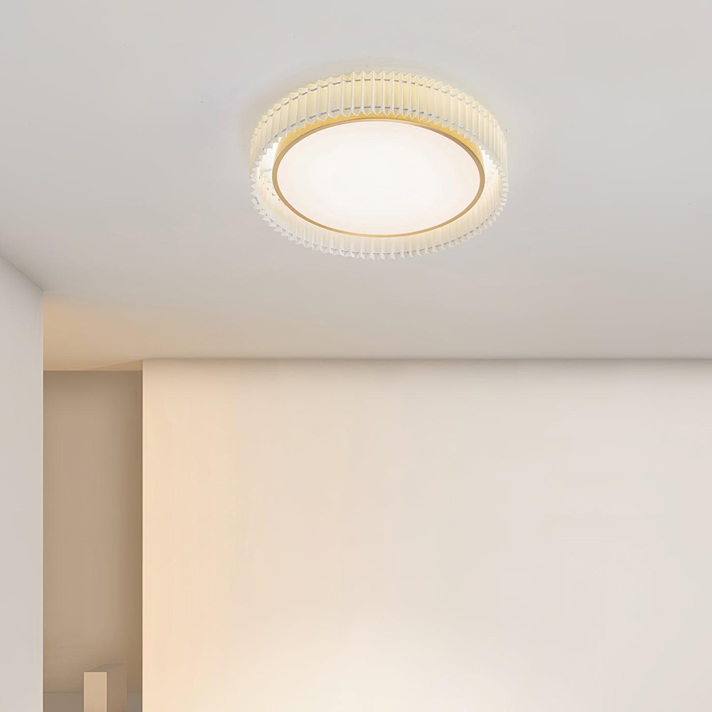 Pelzave Ceiling Light