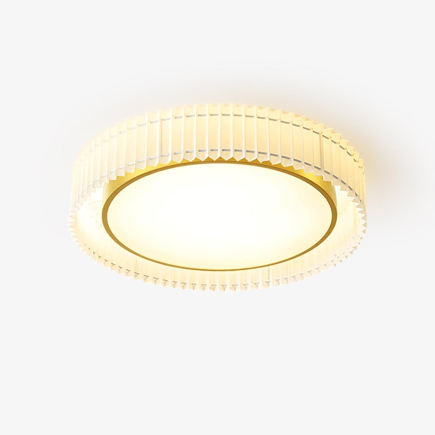 Pelzave Ceiling Light